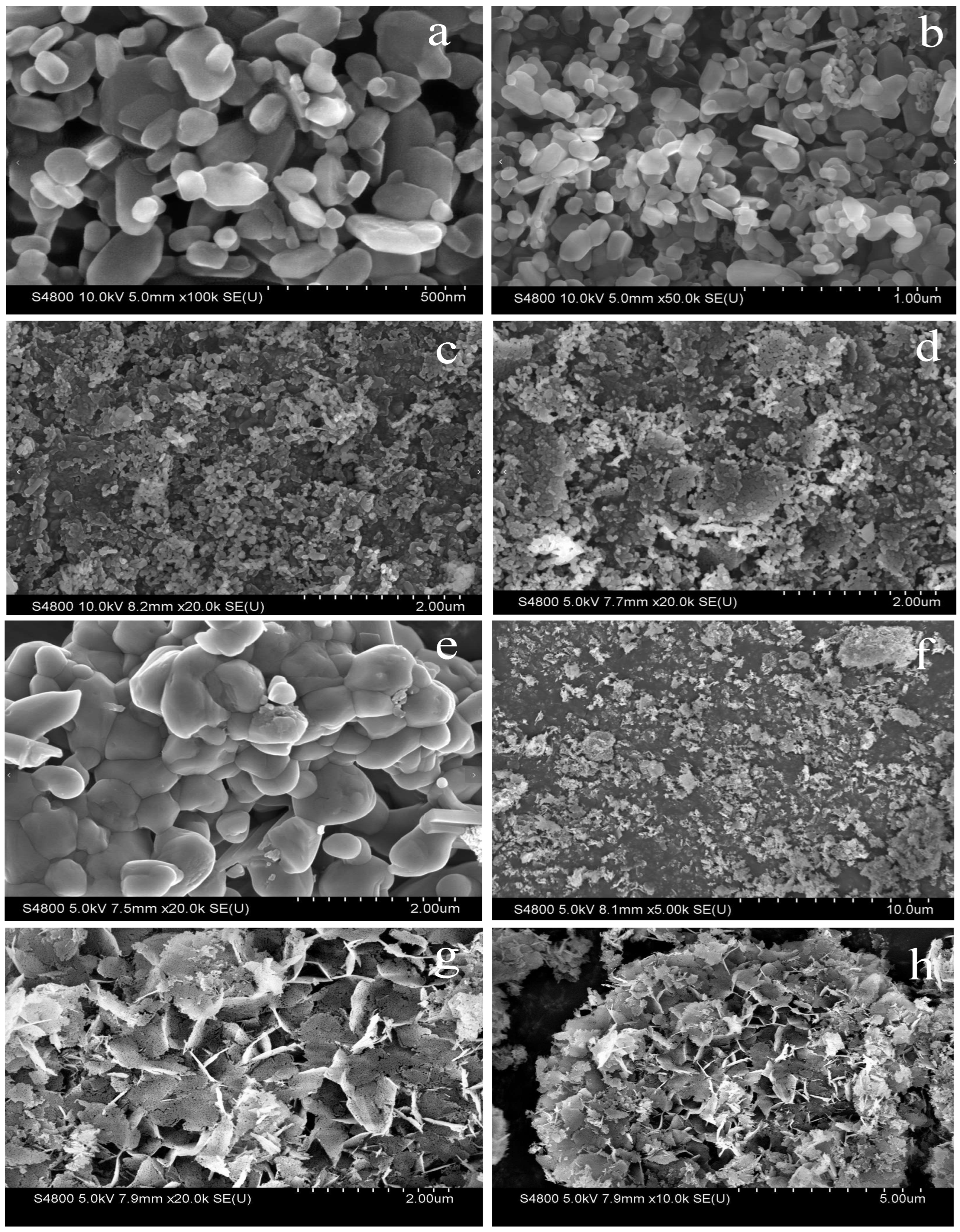 Molecules 30 02876 g006