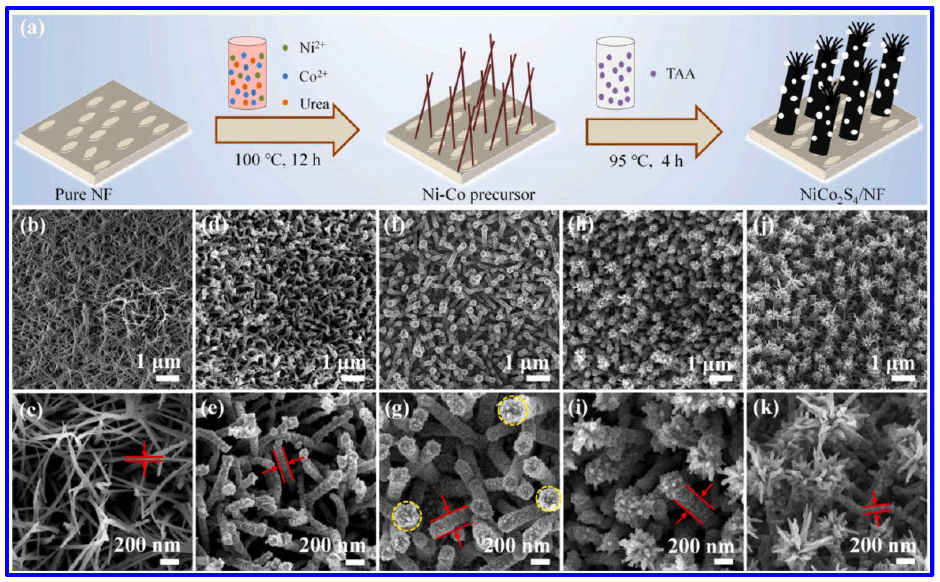 Molecules 30 02877 g004