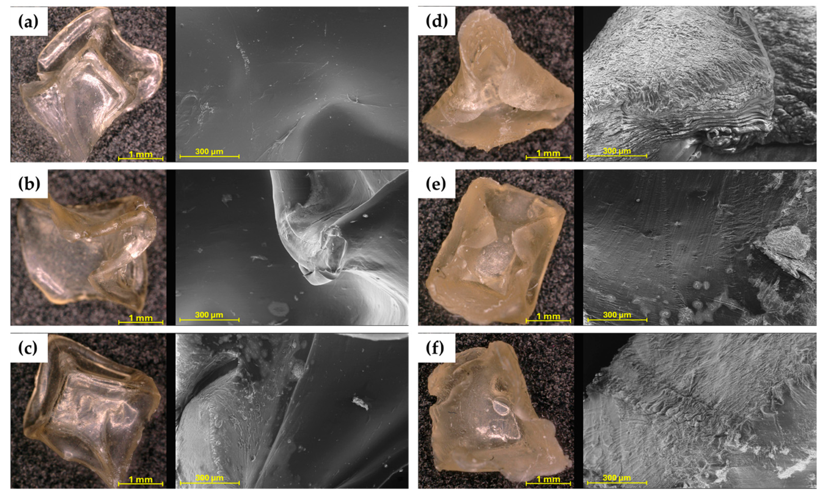 Molecules 30 02885 g002