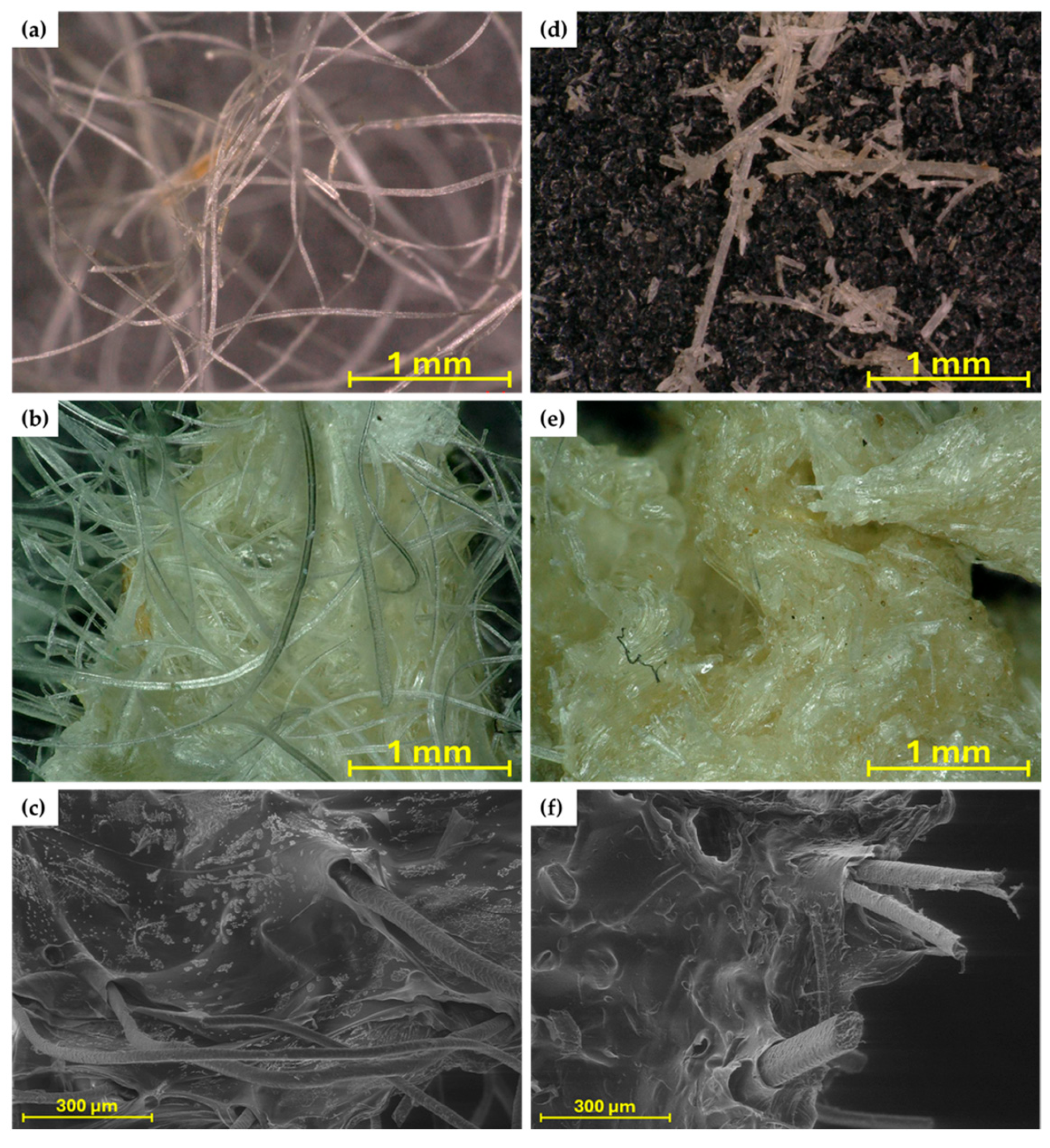 Molecules 30 02885 g003