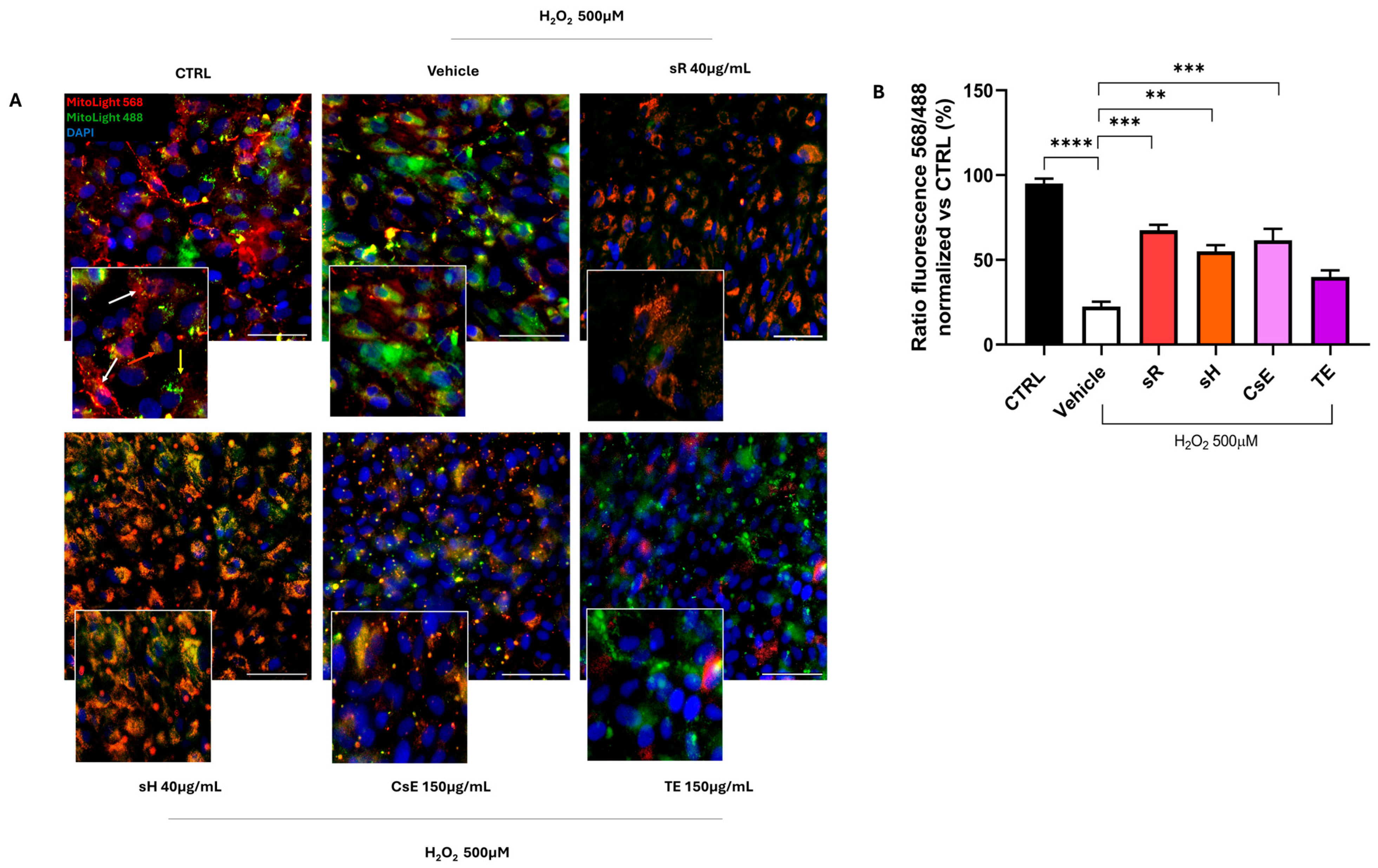Molecules 30 02894 g003