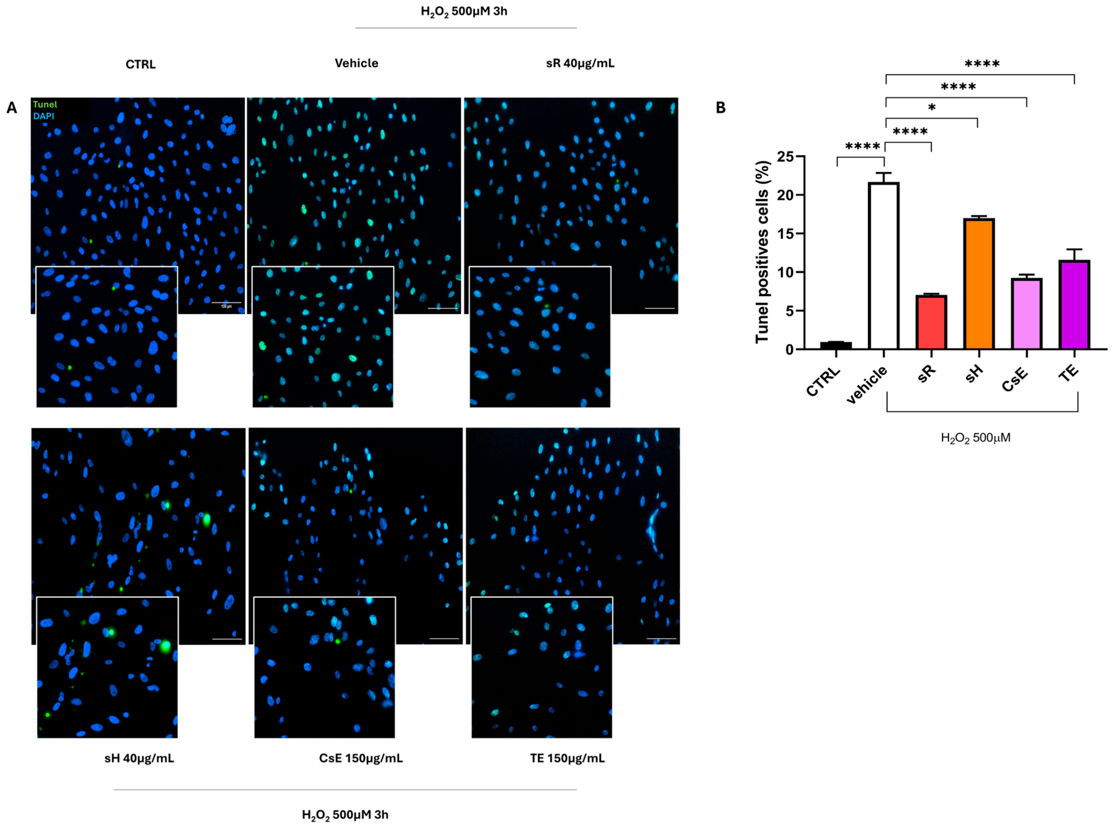 Molecules 30 02894 g005