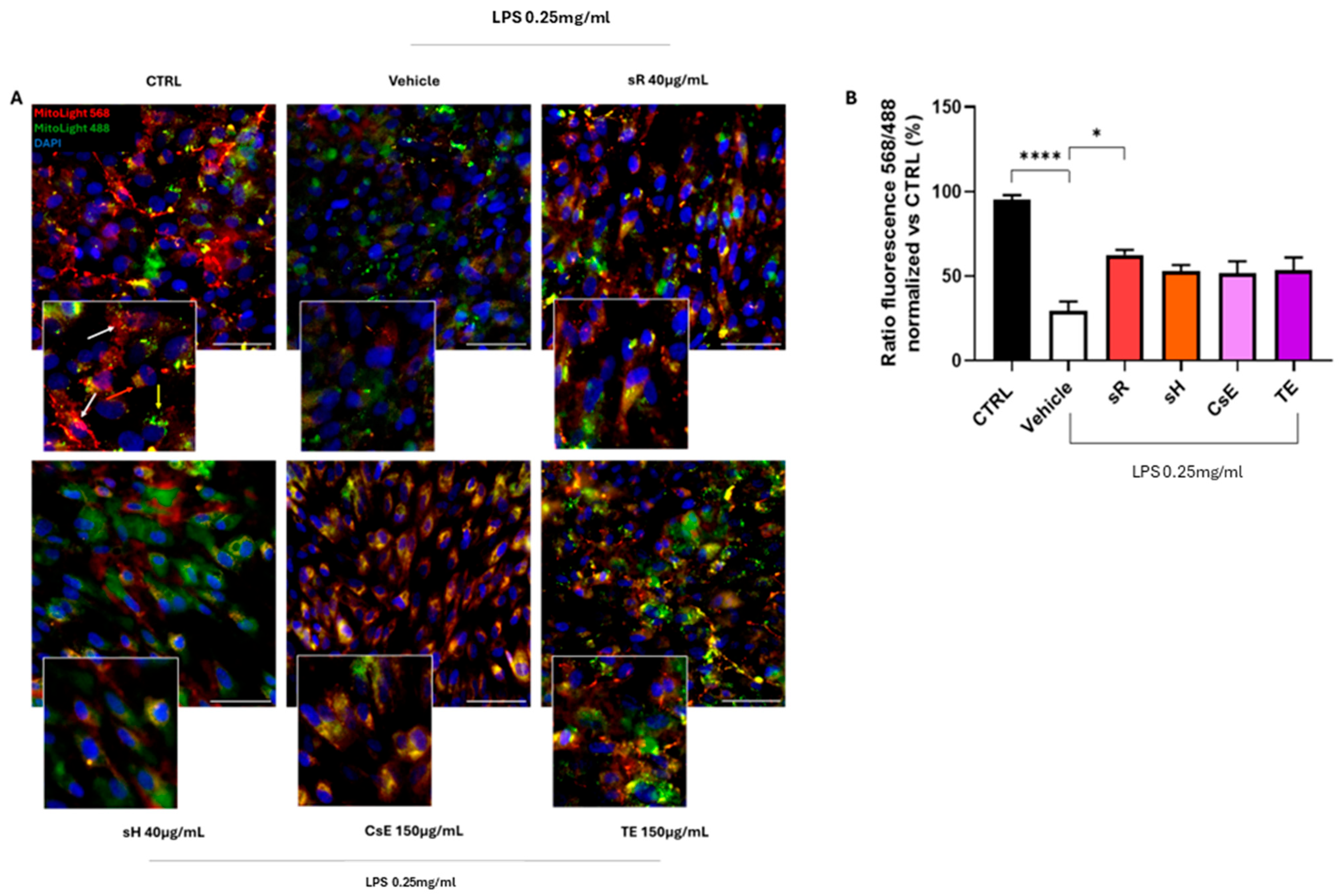 Molecules 30 02894 g006