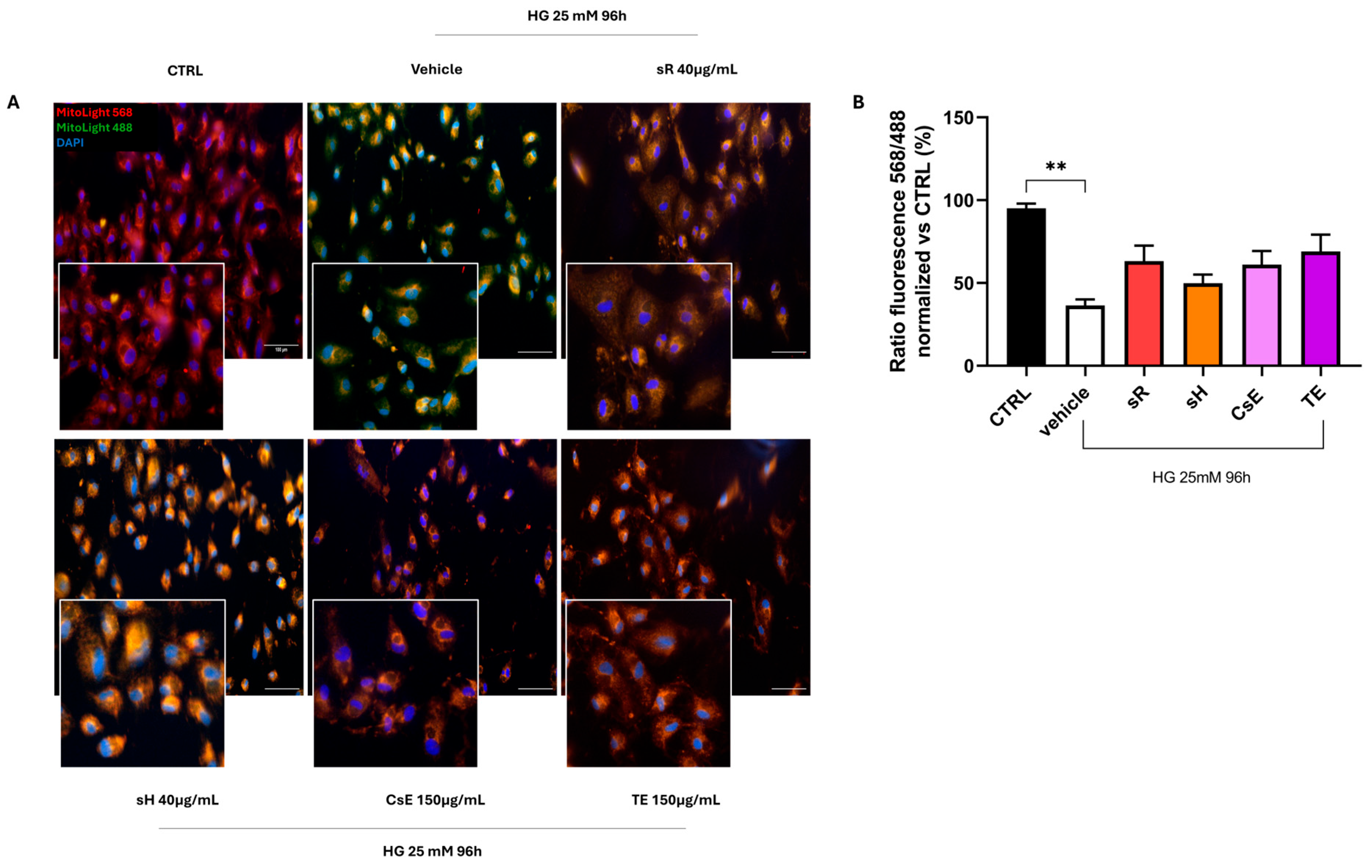 Molecules 30 02894 g009
