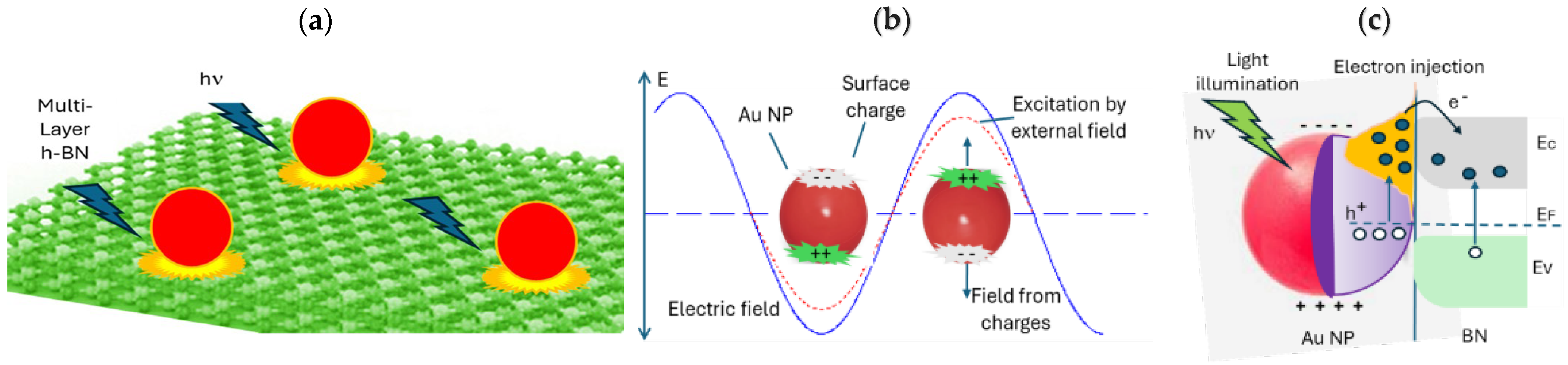Molecules 30 02897 g011