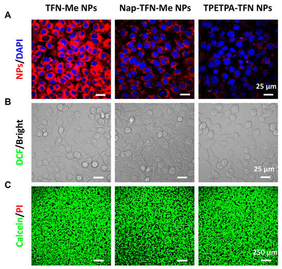 サイズF Frontiers | Virus-like particle vaccines with epitopes from