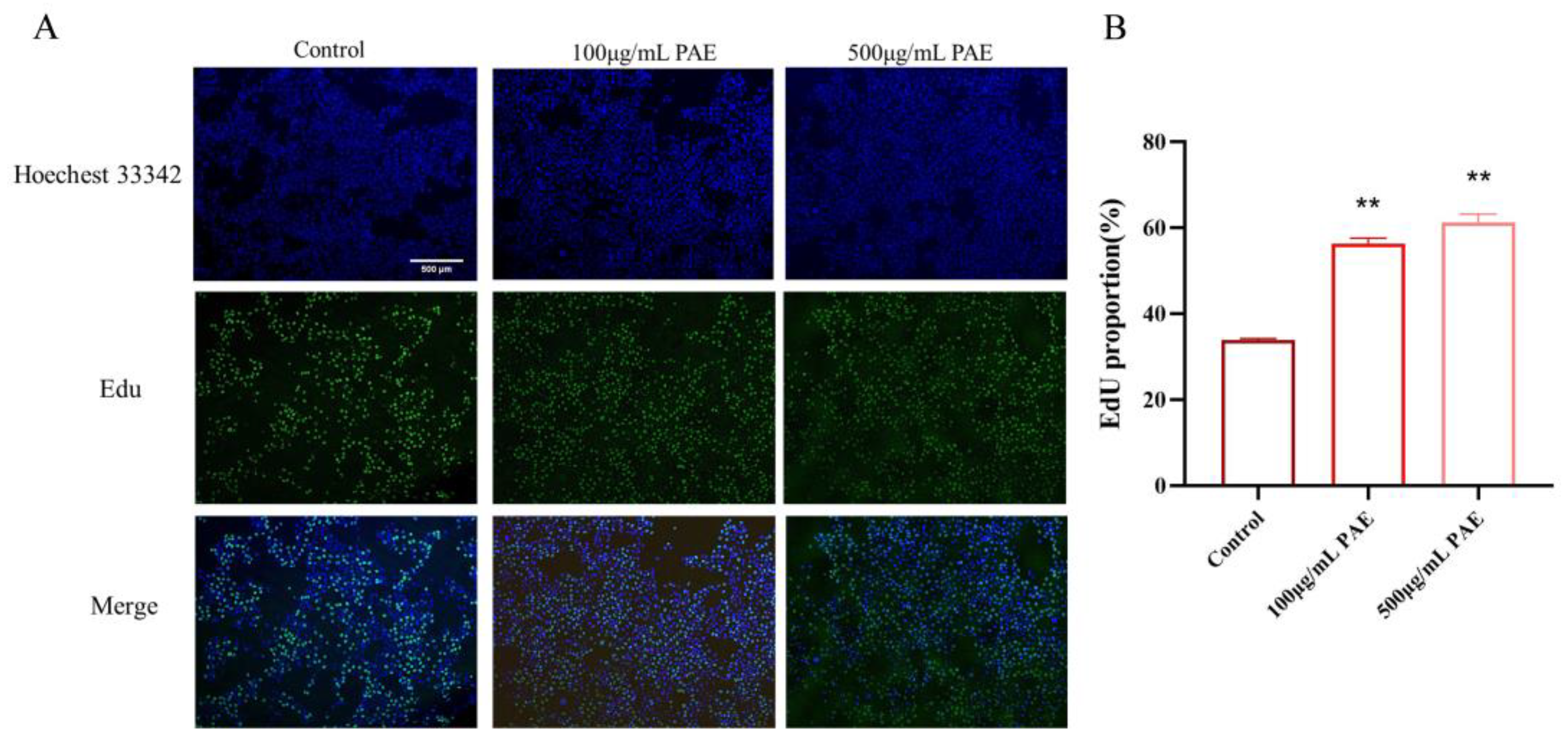 Molecules 30 02901 g005