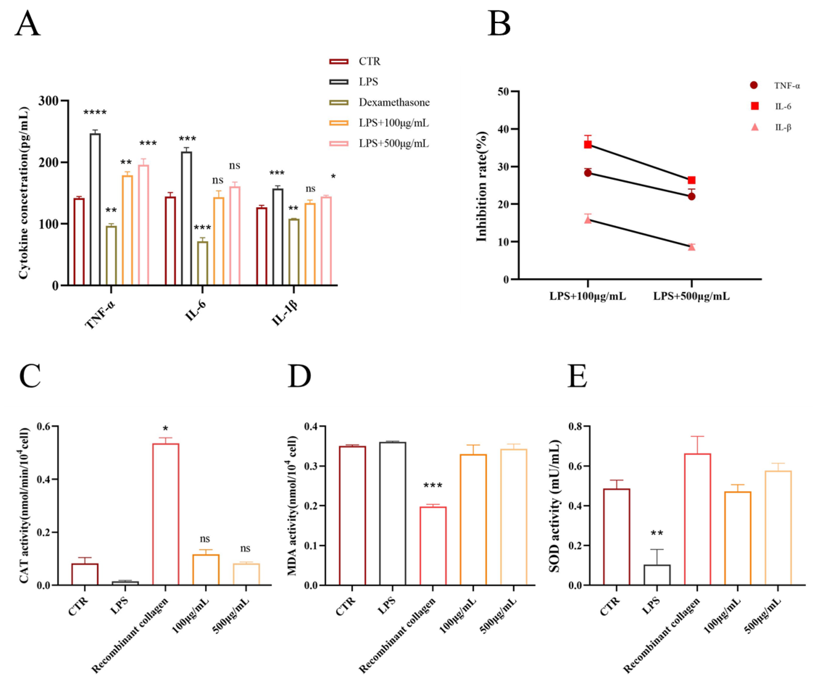 Molecules 30 02901 g006
