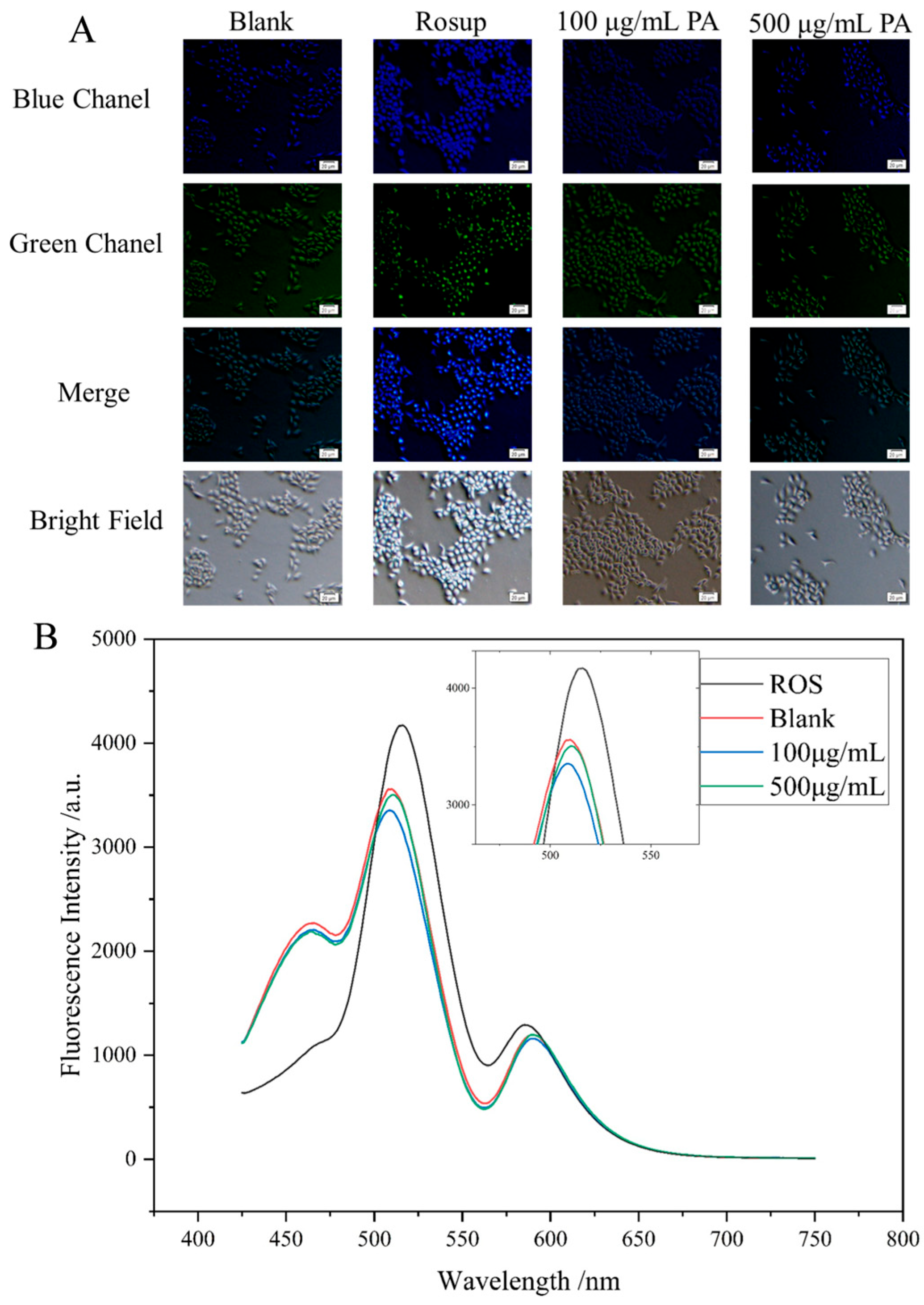 Molecules 30 02901 g007