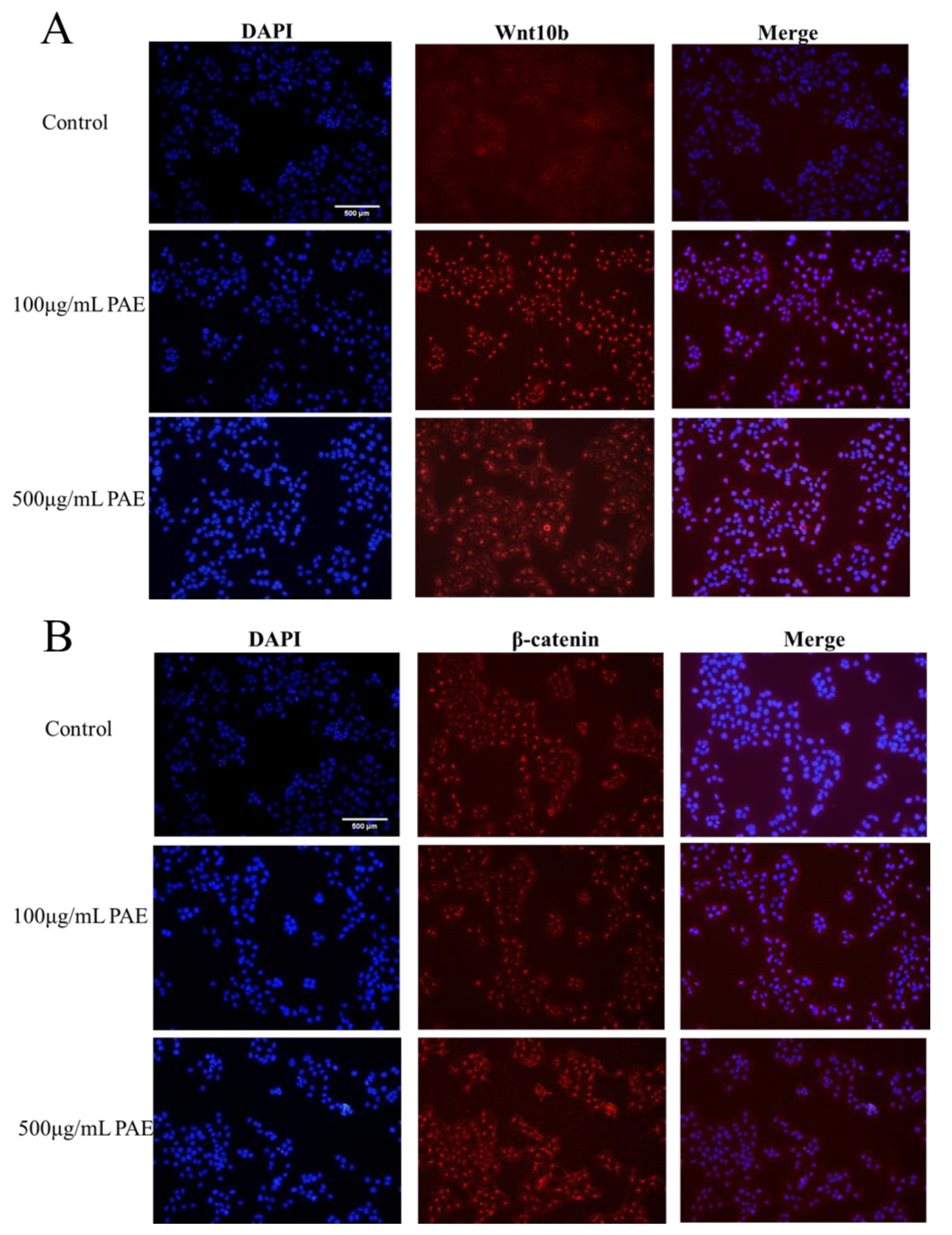 Molecules 30 02901 g008