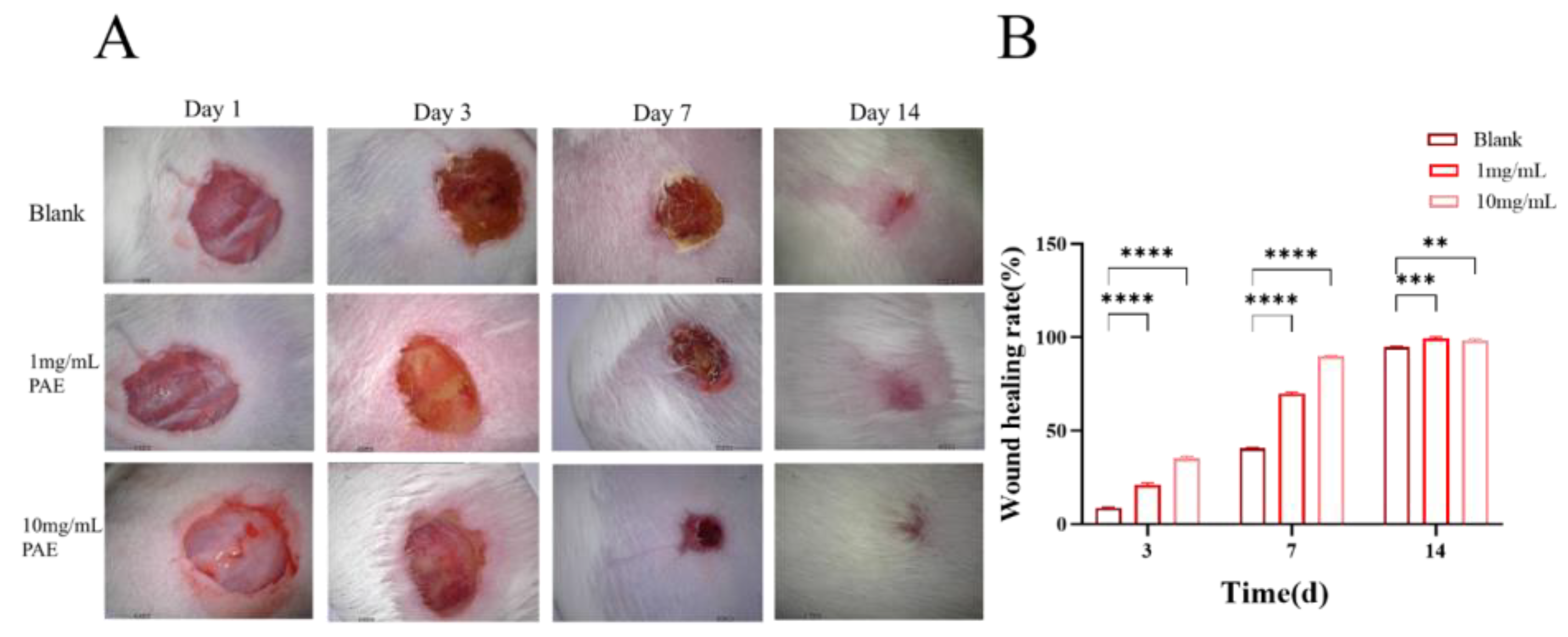 Molecules 30 02901 g011