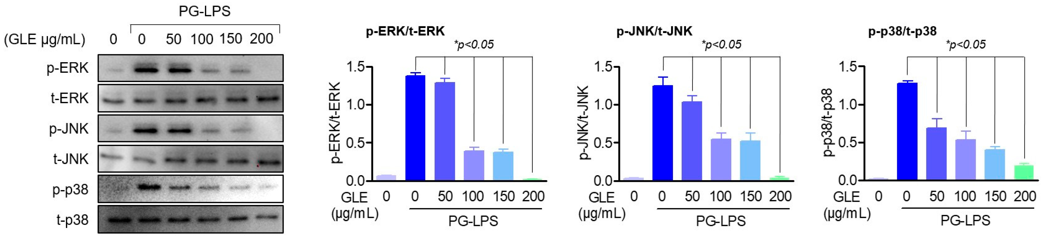 Molecules 30 02903 g004