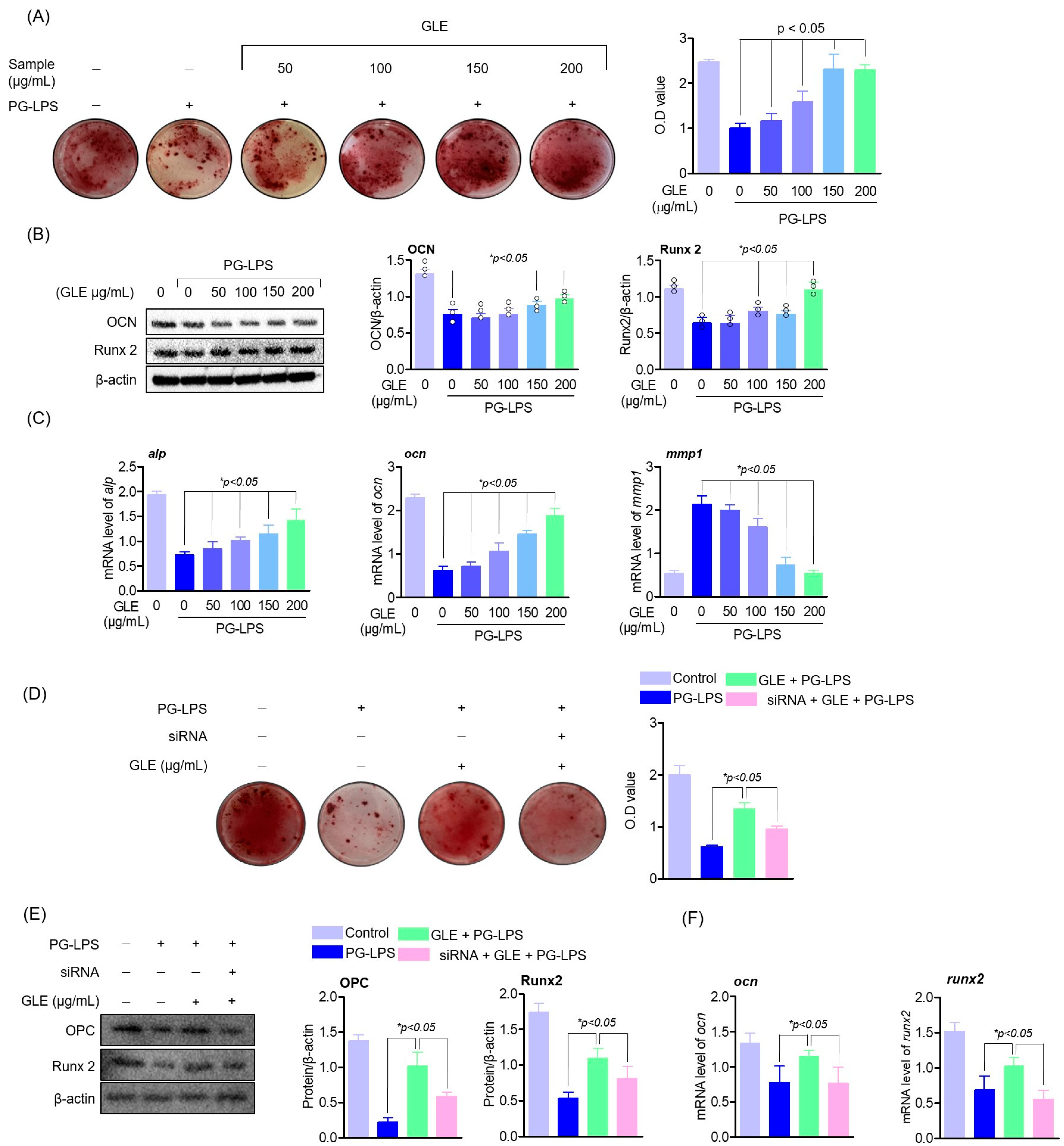 Molecules 30 02903 g006