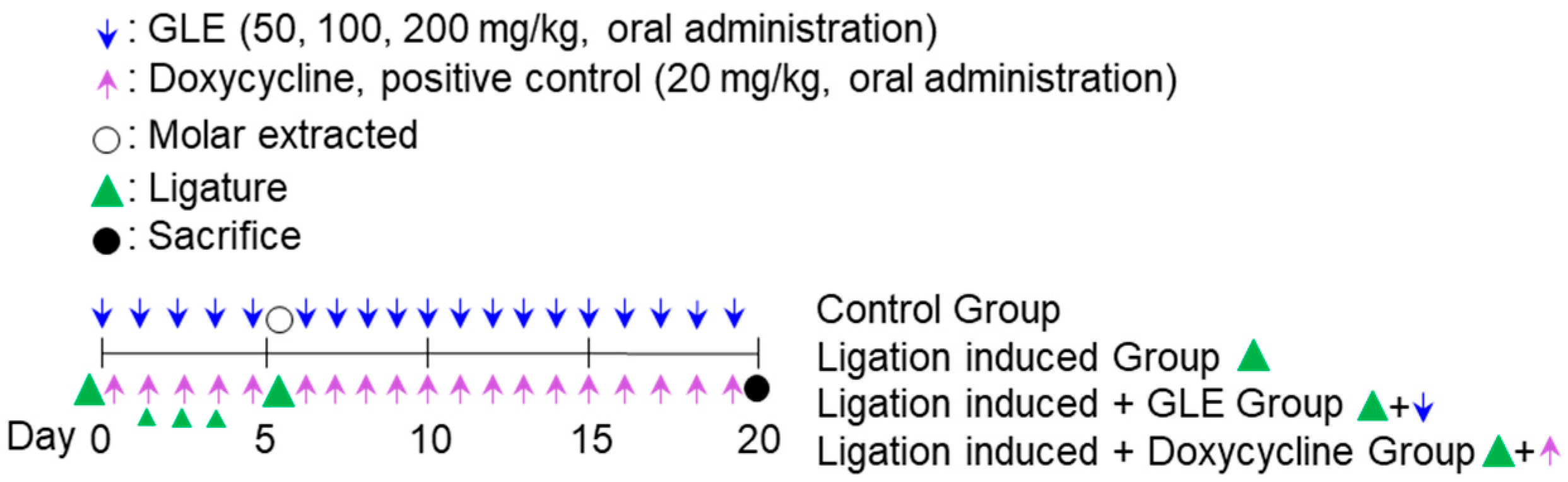 Molecules 30 02903 sch001
