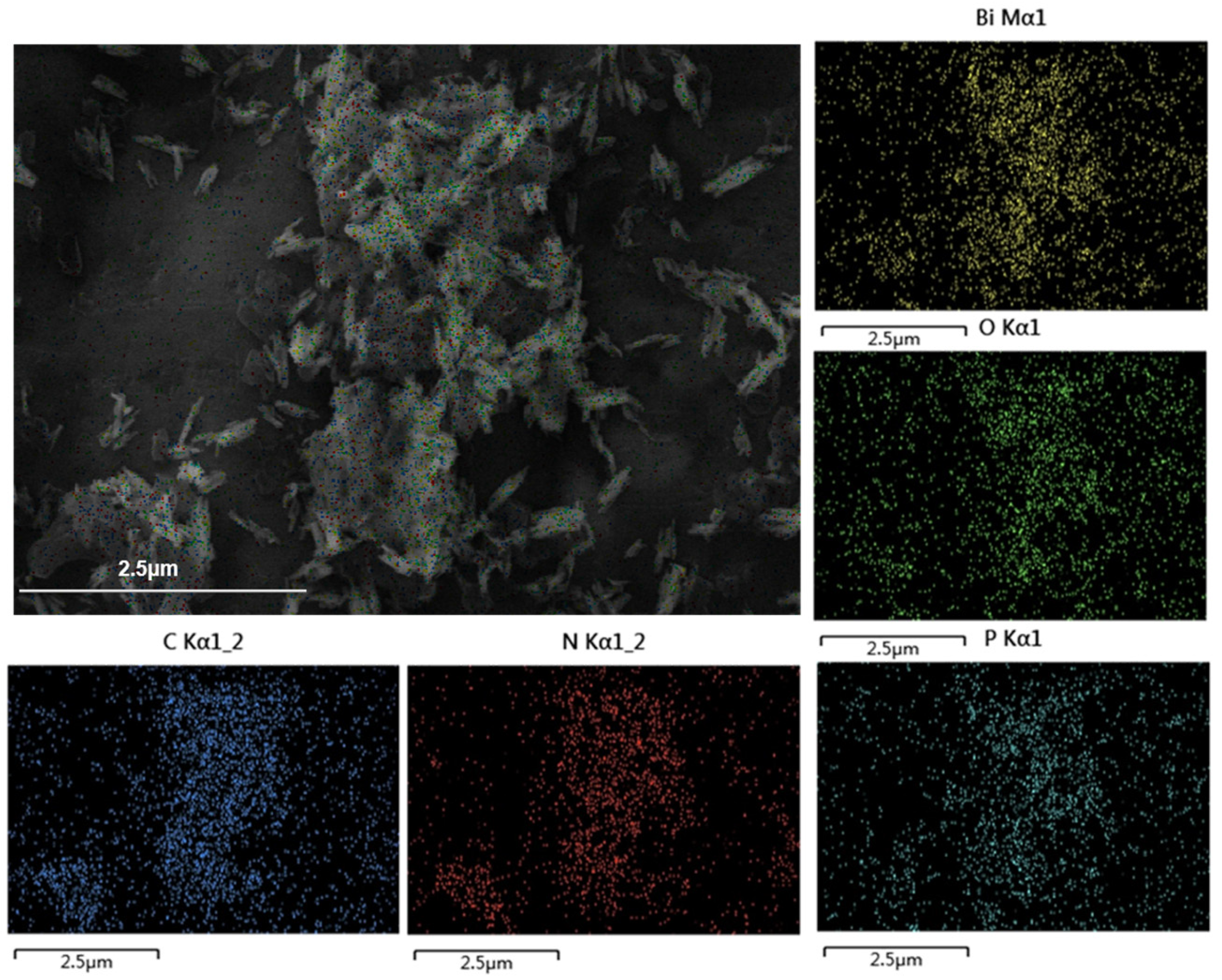 Molecules 30 02905 g005