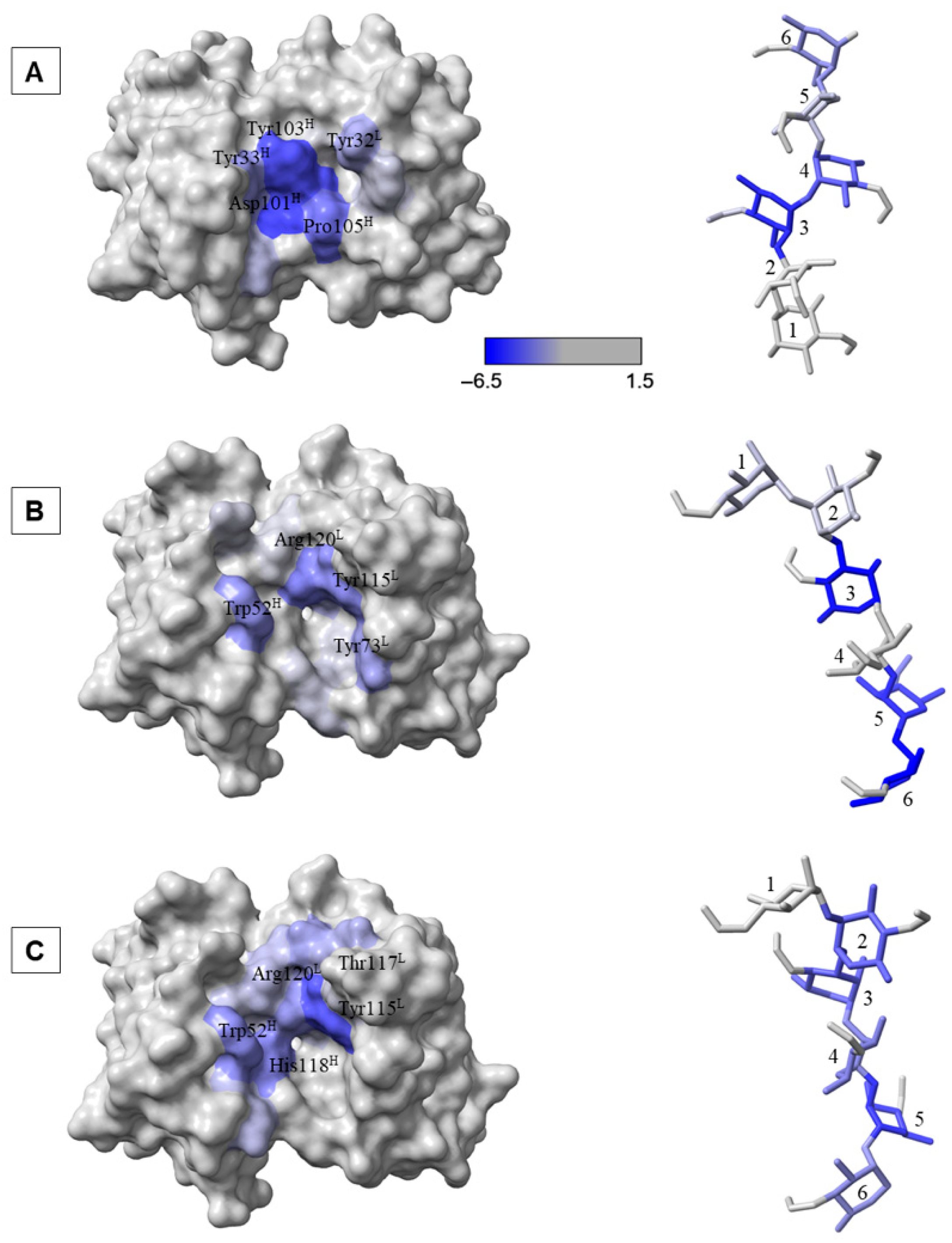 Molecules 30 02906 g006