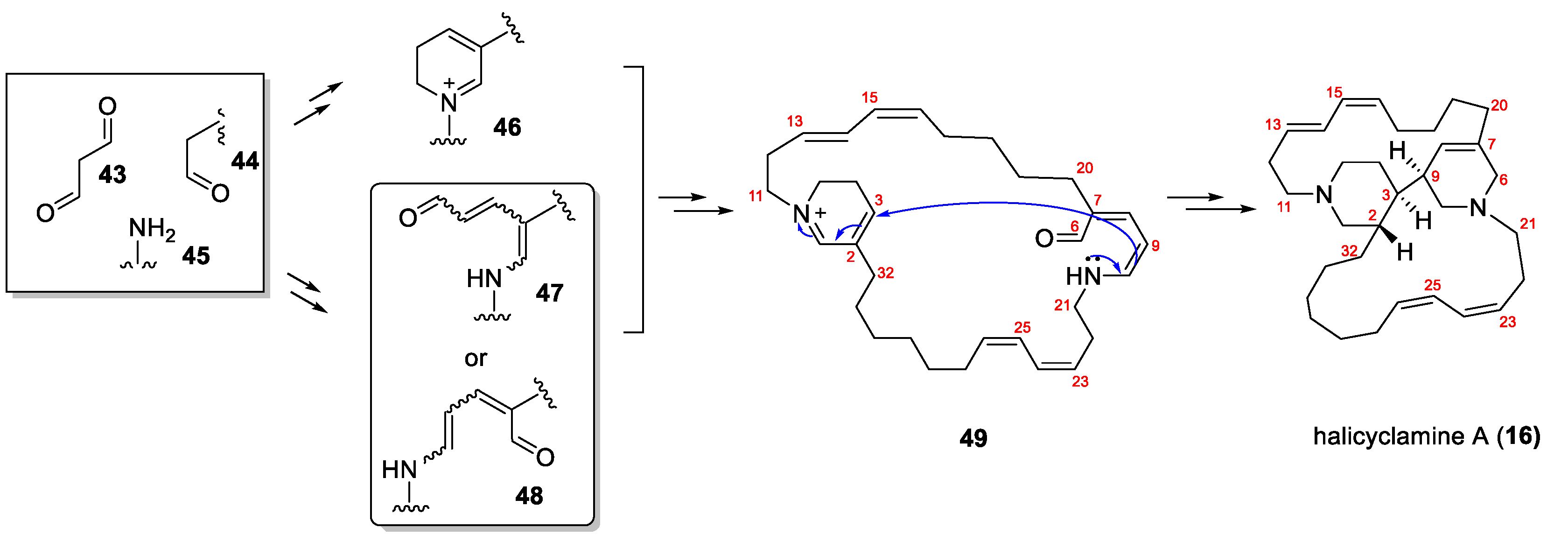 Molecules 30 02907 sch004