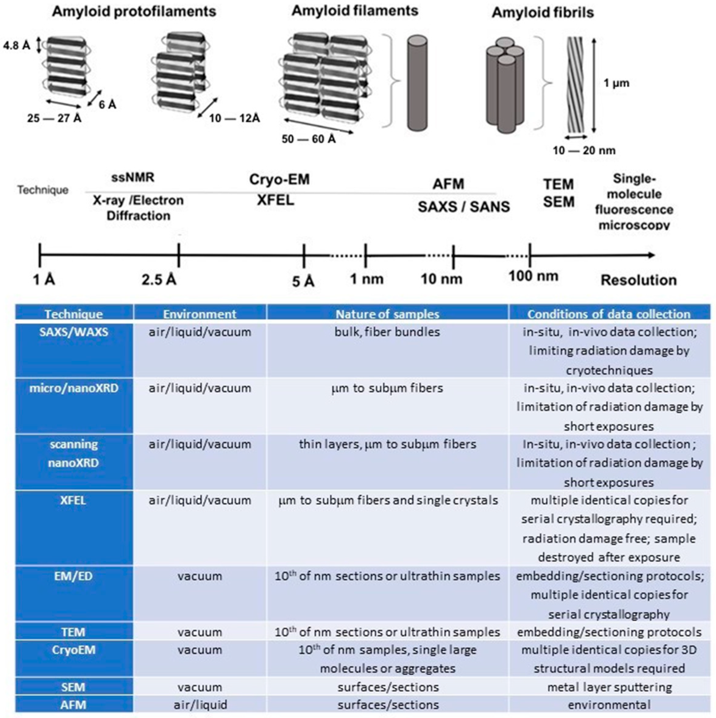 Molecules 30 02908 g001