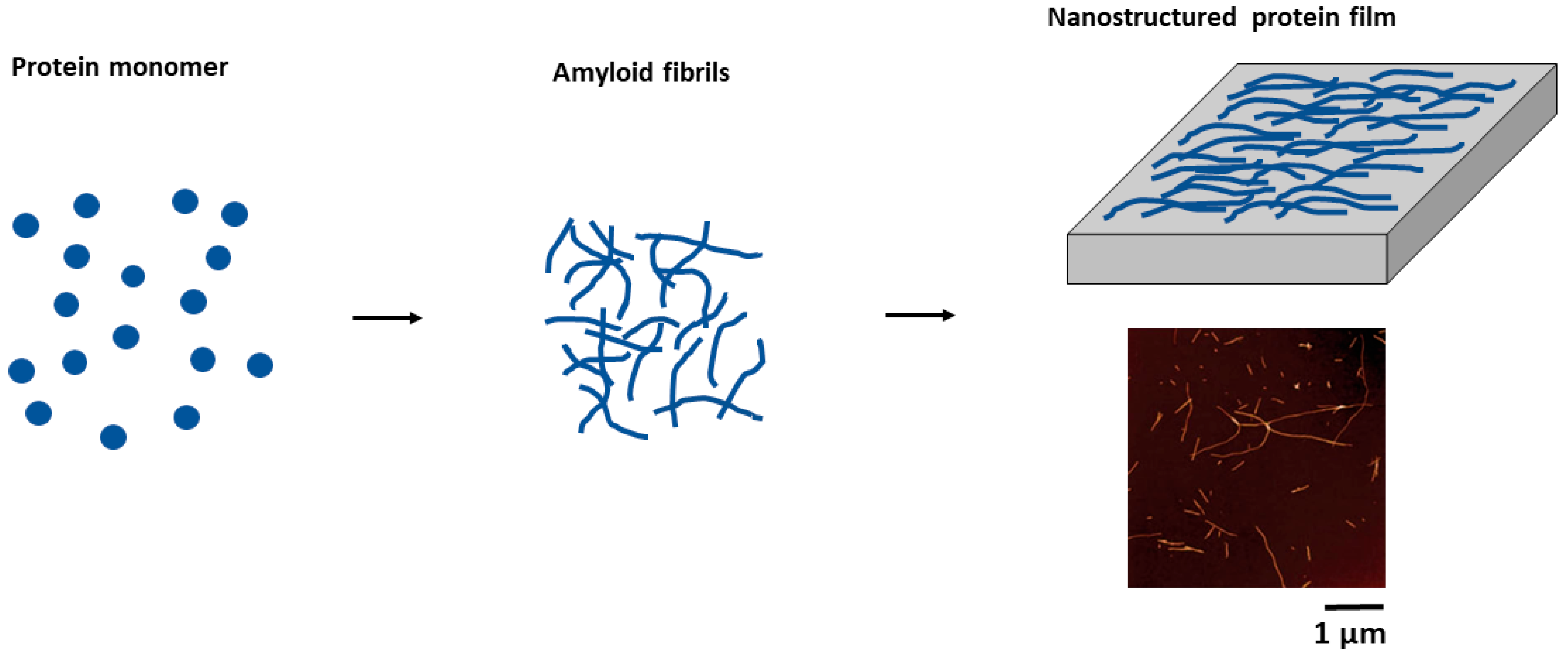 Molecules 30 02908 g002