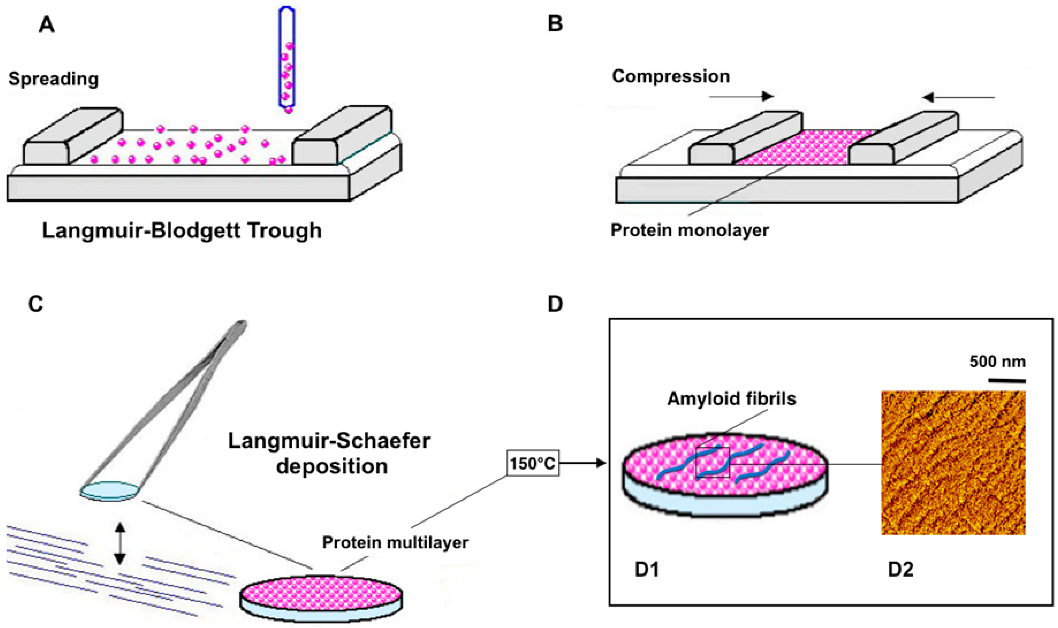 Molecules 30 02908 g003