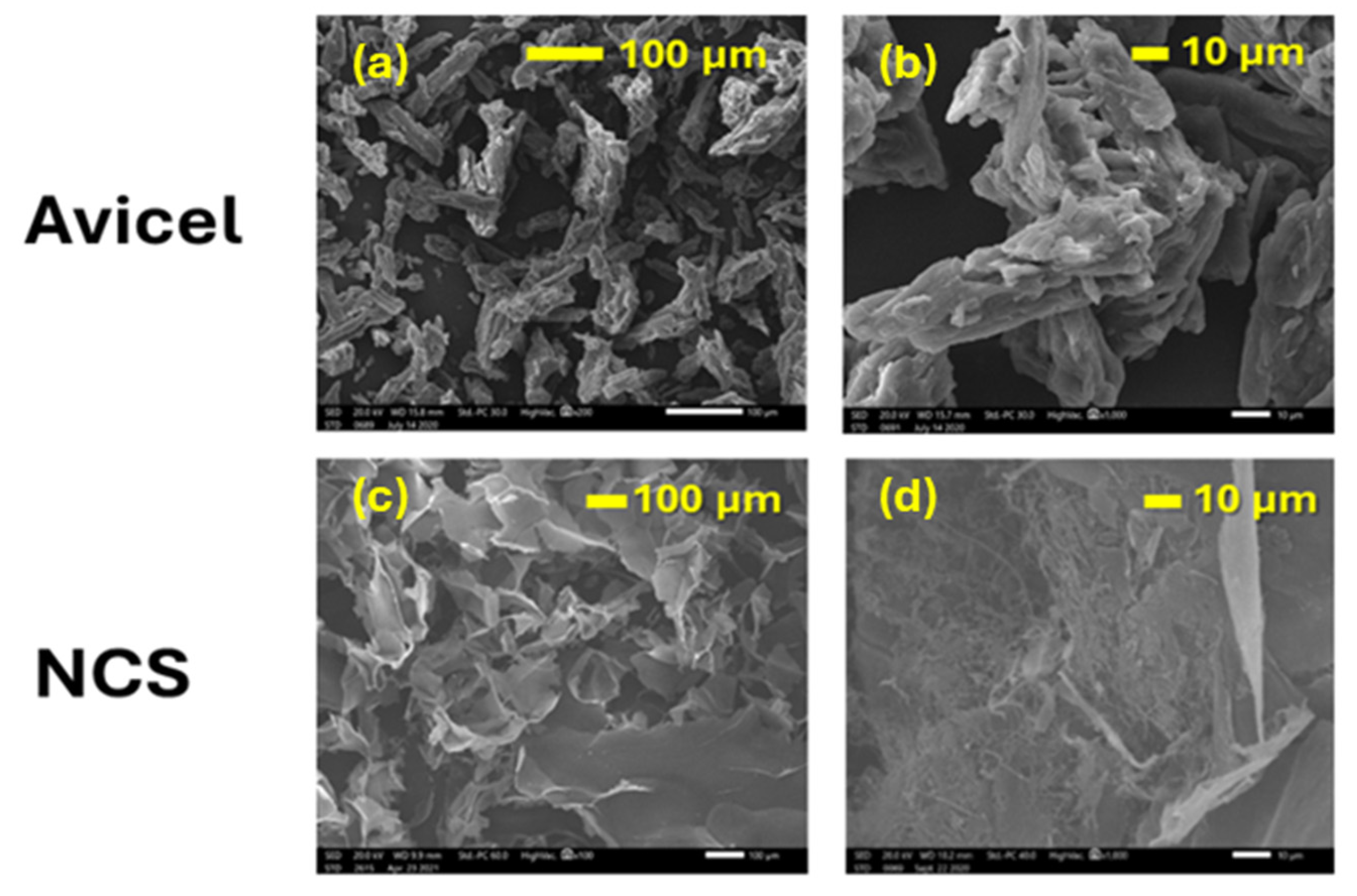 Molecules 30 02911 g004
