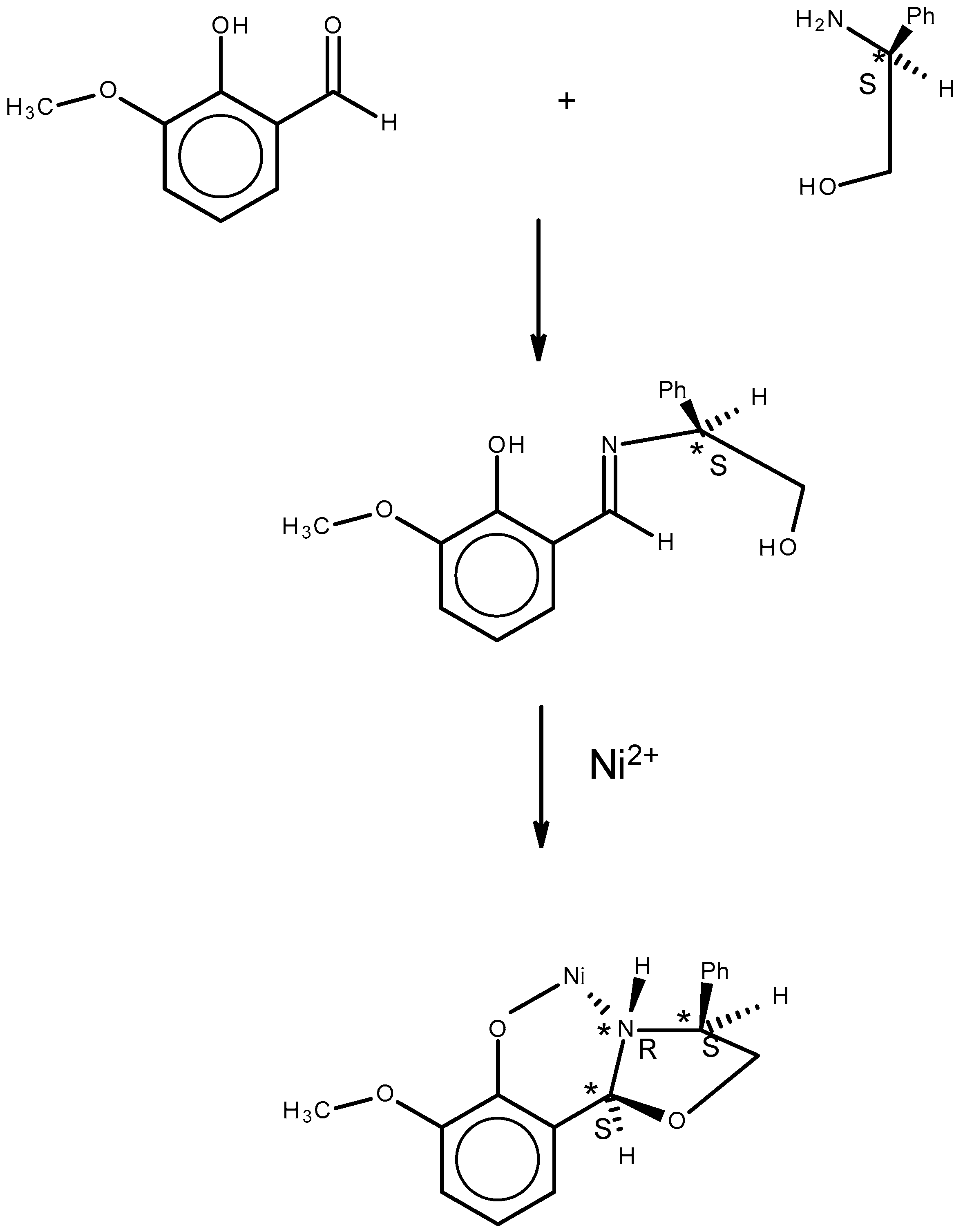 Molecules 30 02913 g002