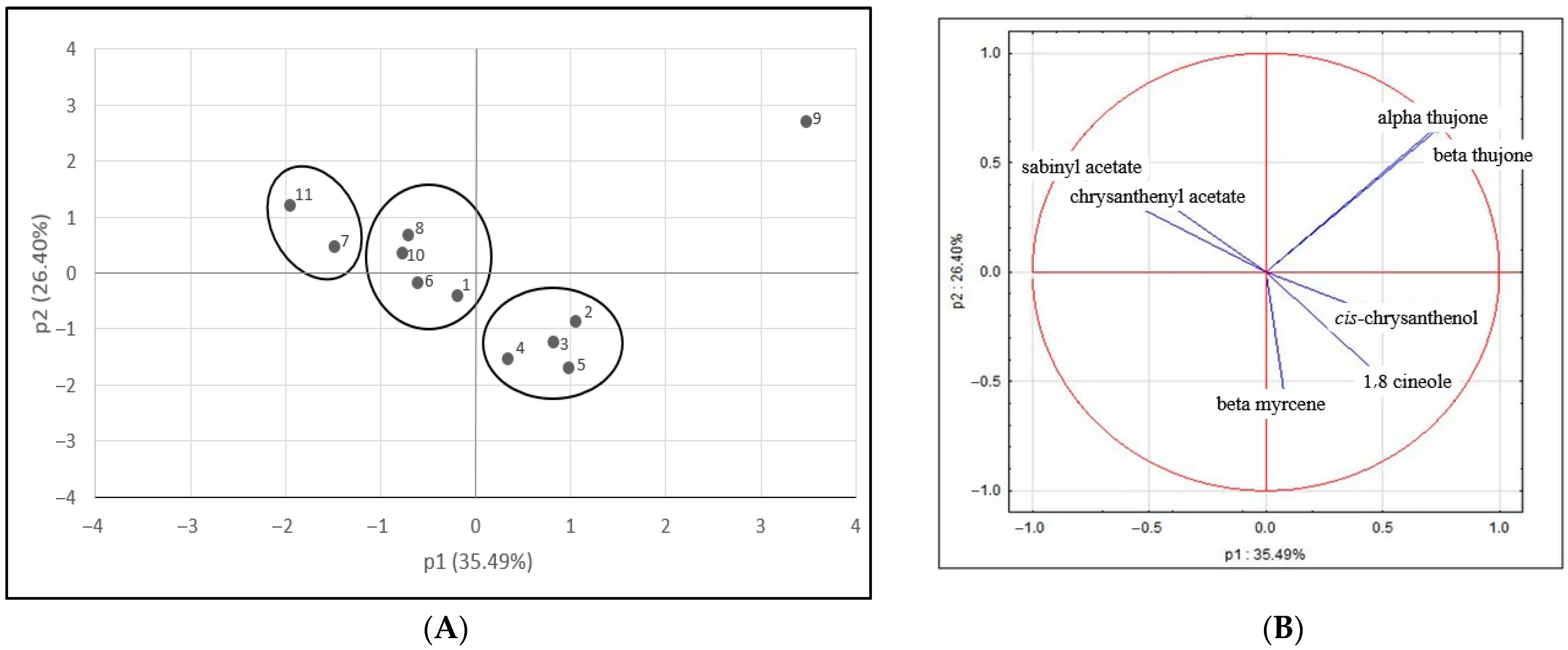 Molecules 30 02915 g001