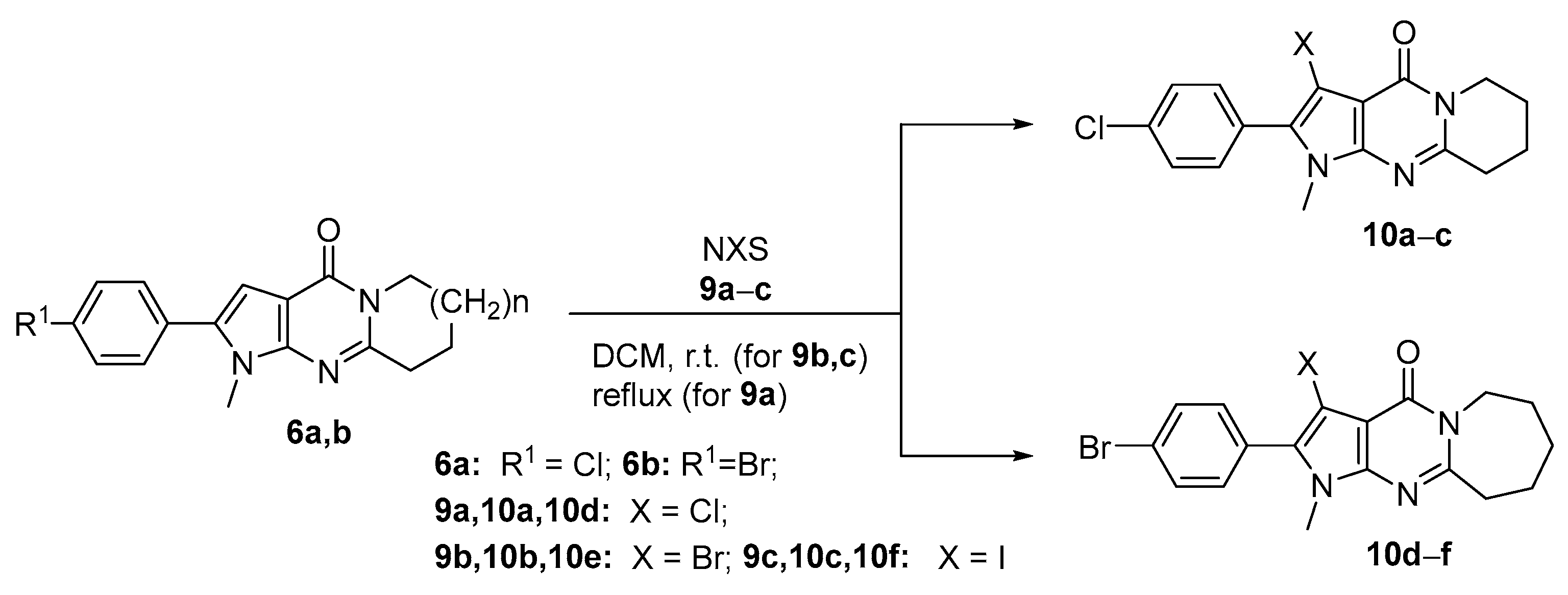 Molecules 30 02917 sch002