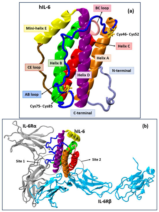 Structure-Based Design of Small-Molecule Inhibitors of Human