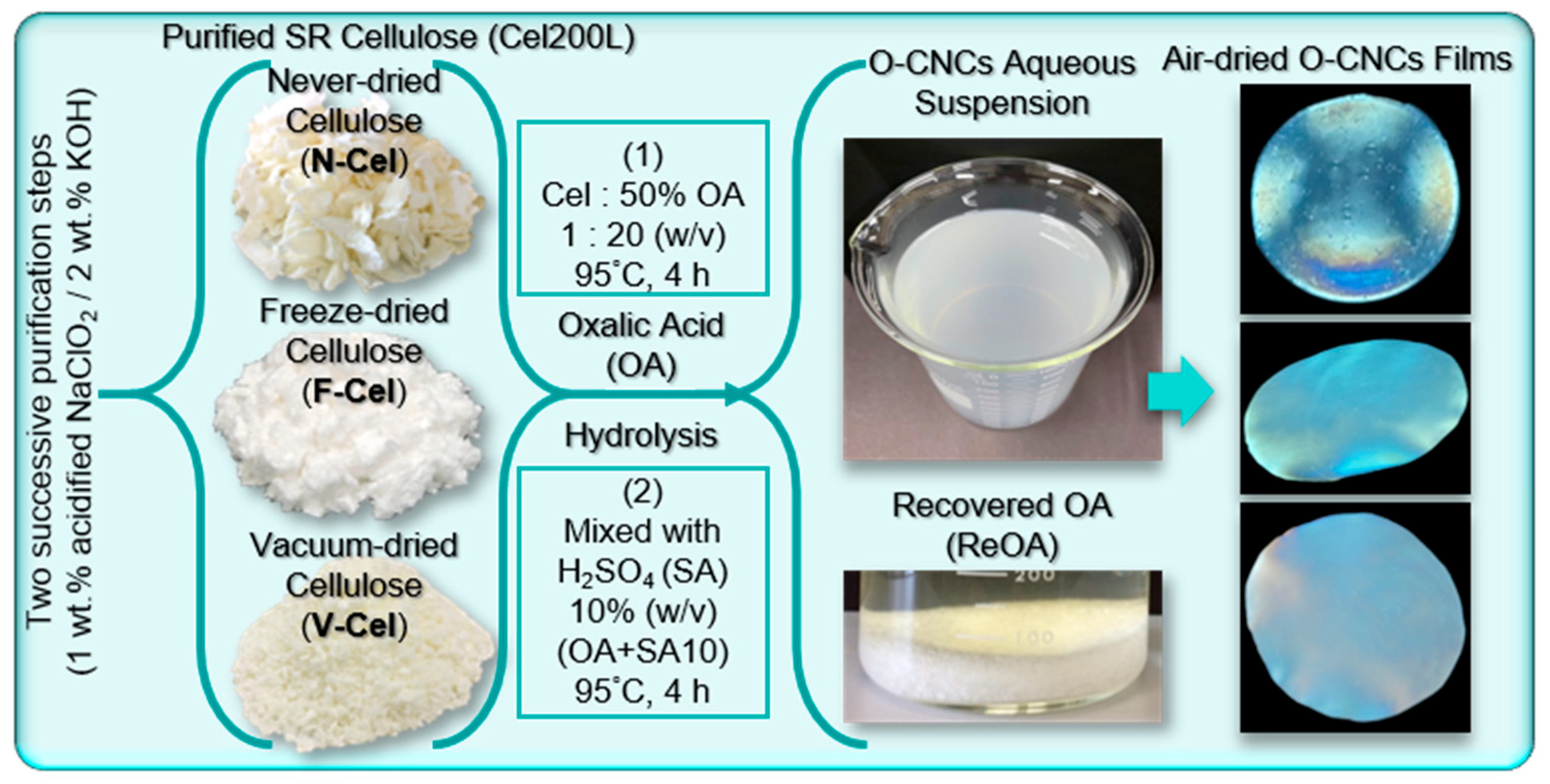 Molecules 30 02922 g003