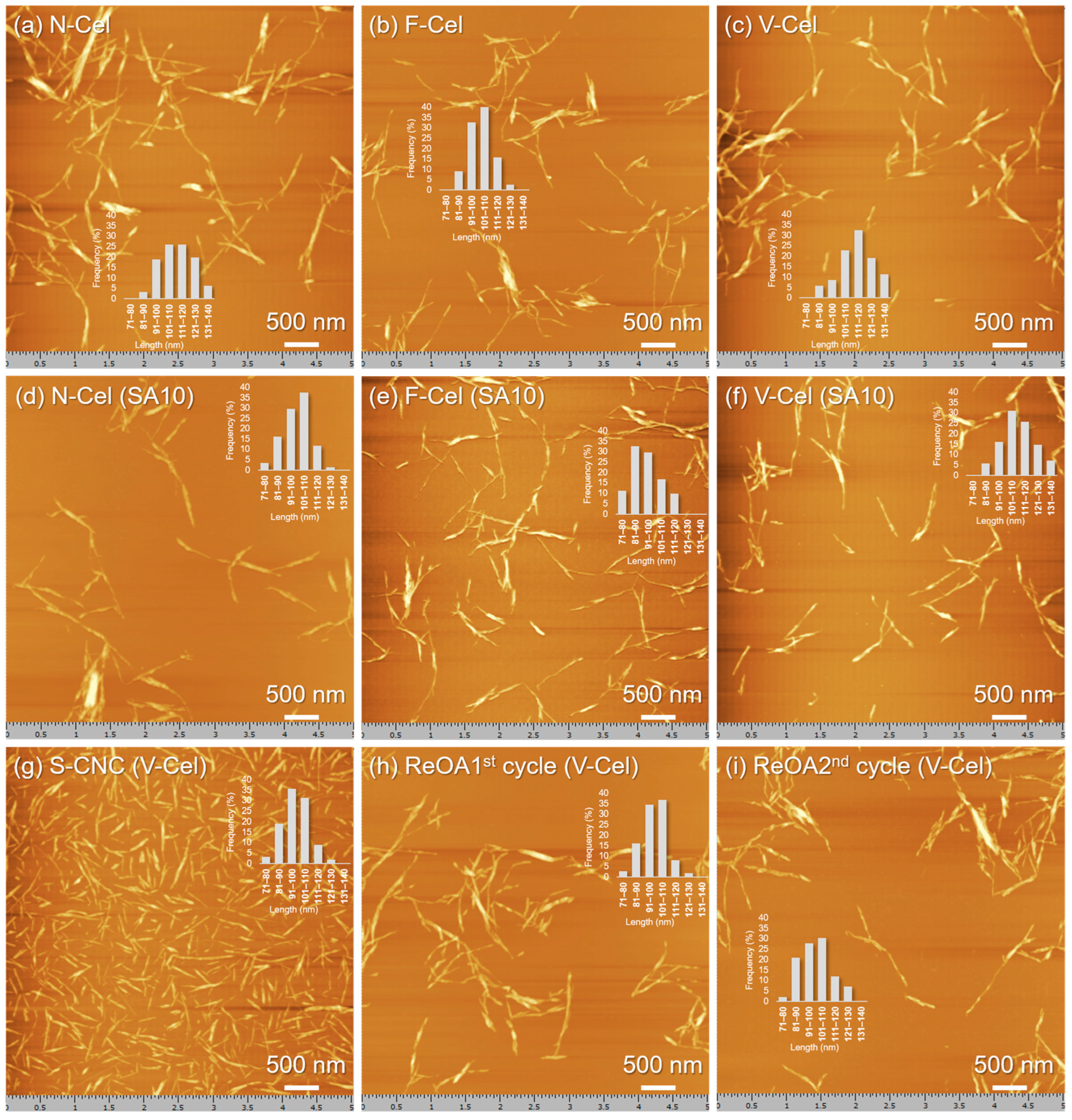 Molecules 30 02922 g005