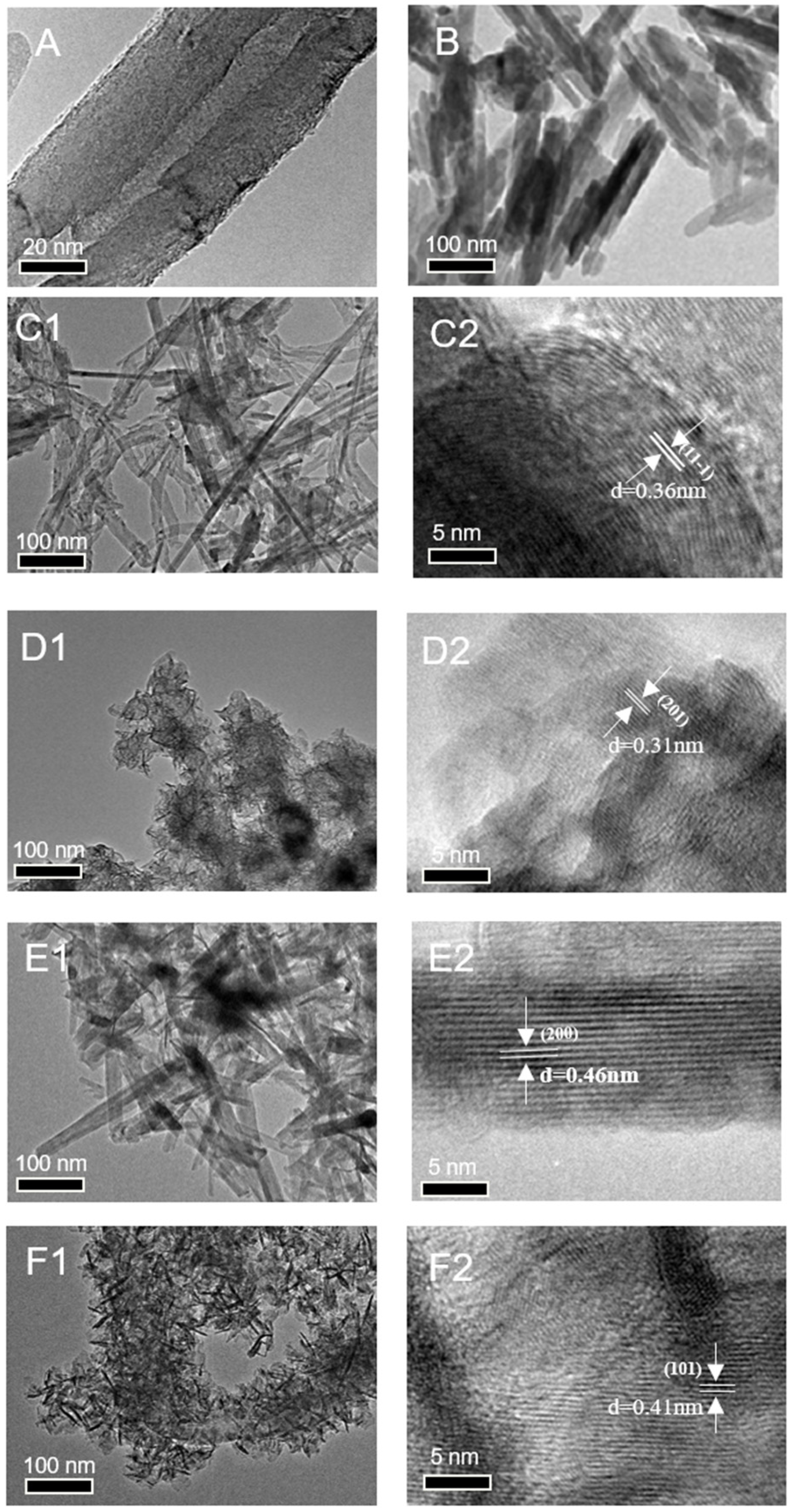Molecules 30 02937 g002