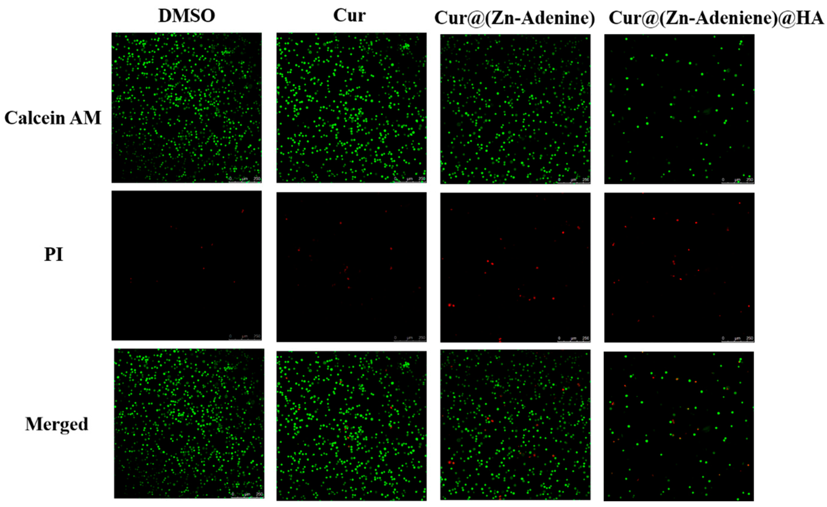 Molecules 30 02940 g015