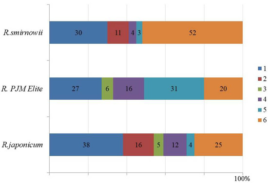 DEUXIEME CLASSE - miiii RS-TI UNIVERSAL OVAL MUFFLER 2.5