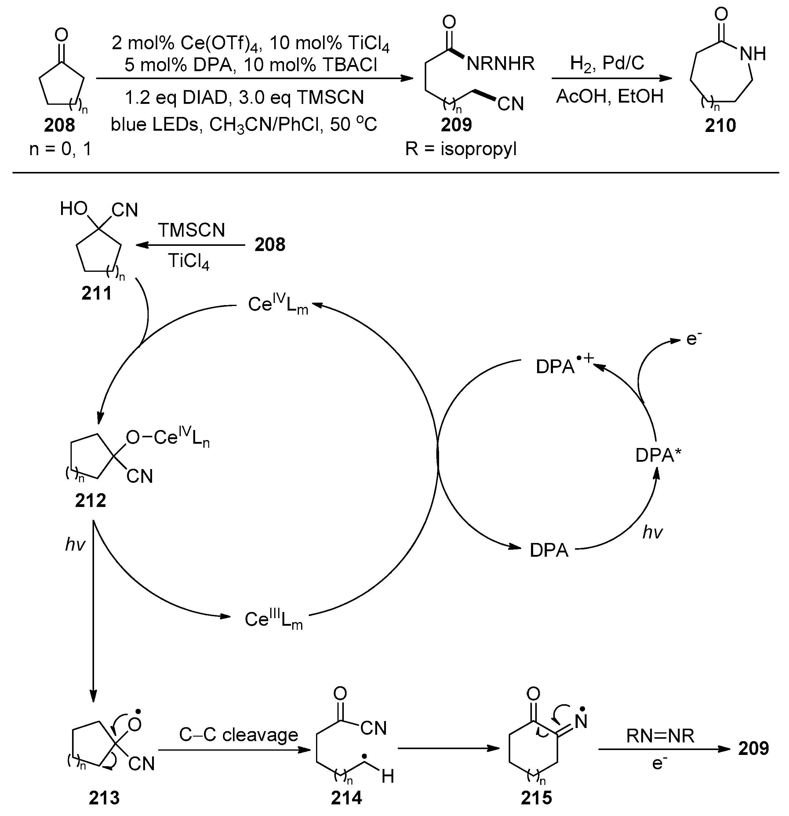 Molecules 30 02959 sch051 Molecules 30 02959 sch051