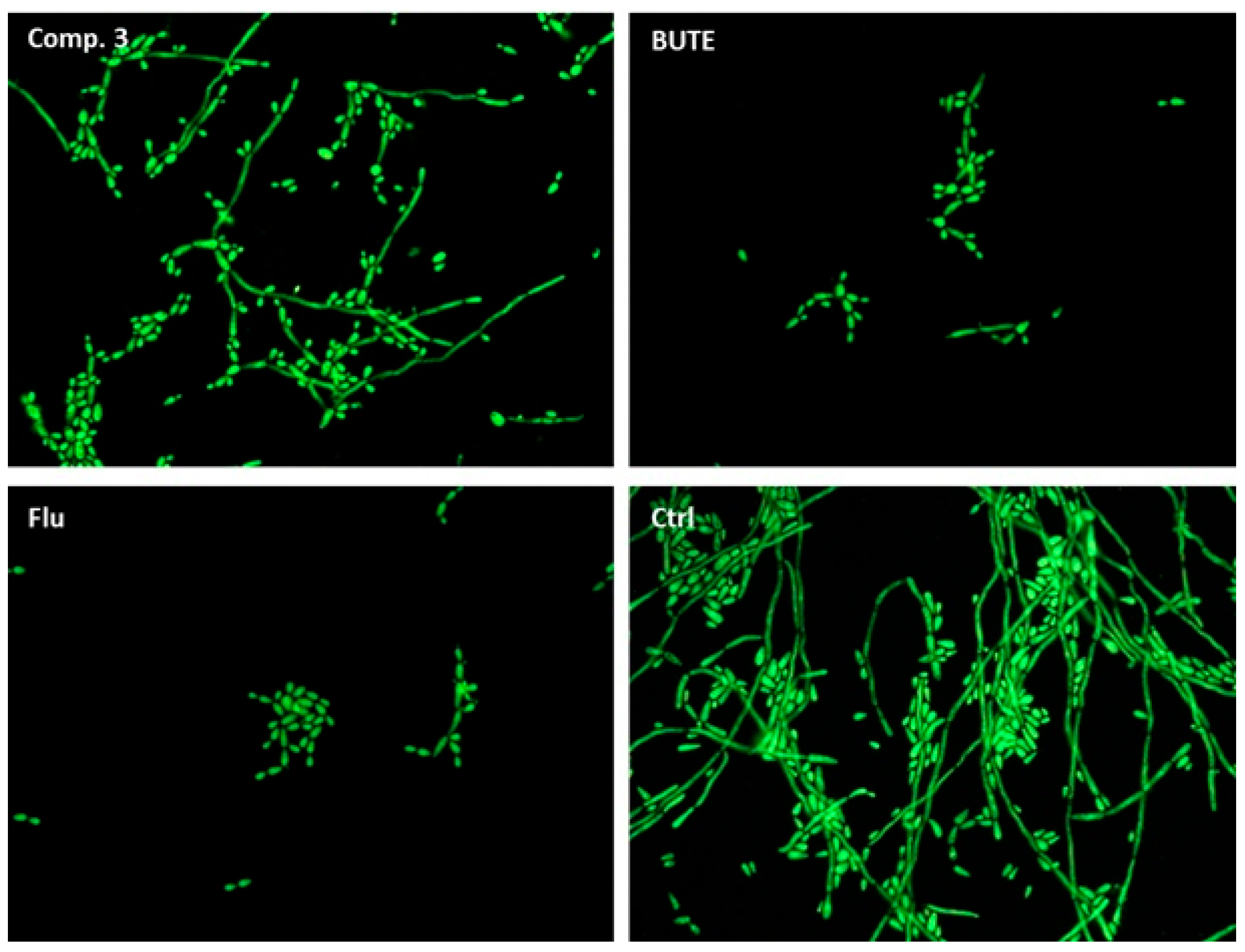 Molecules 30 02973 g006