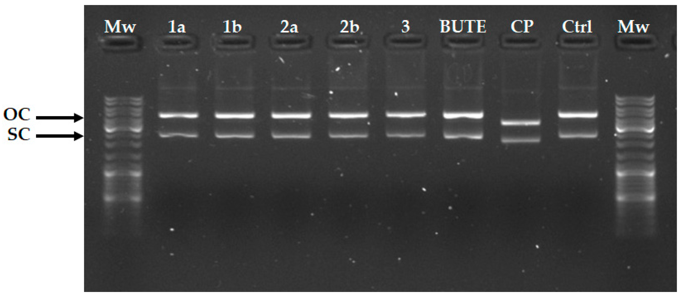 Molecules 30 02973 g007
