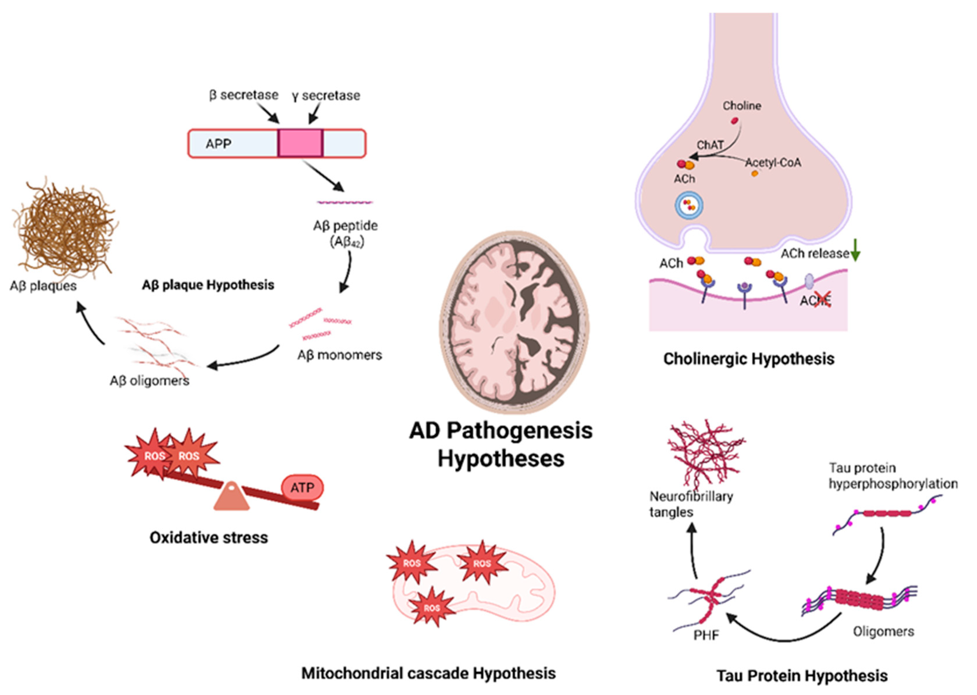 Molecules 30 02975 g001