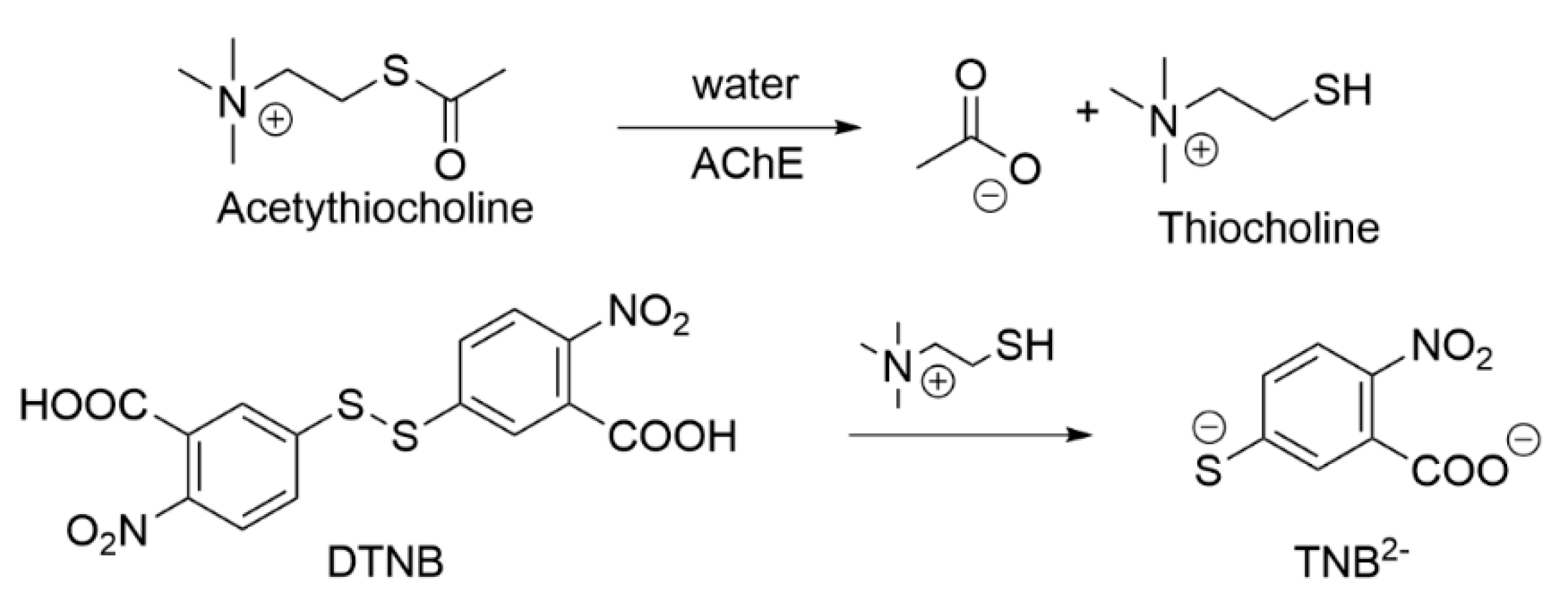 Molecules 30 02975 sch001
