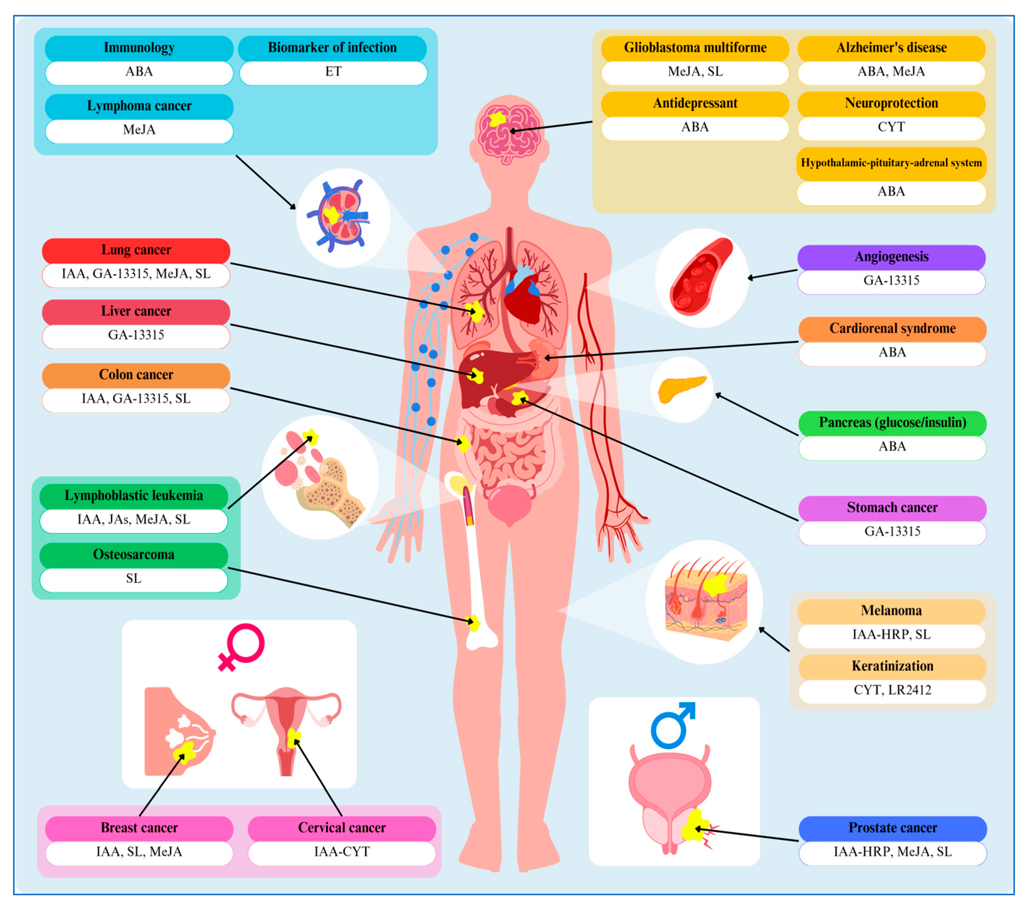 Molecules 30 02984 g002 Molecules 30 02984 g002