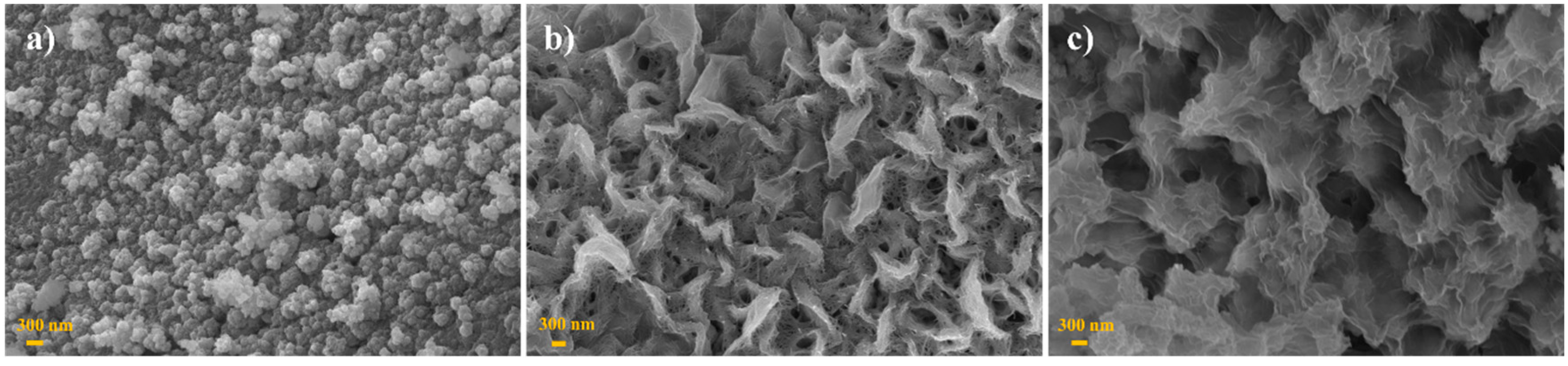 Molecules 30 02986 g001