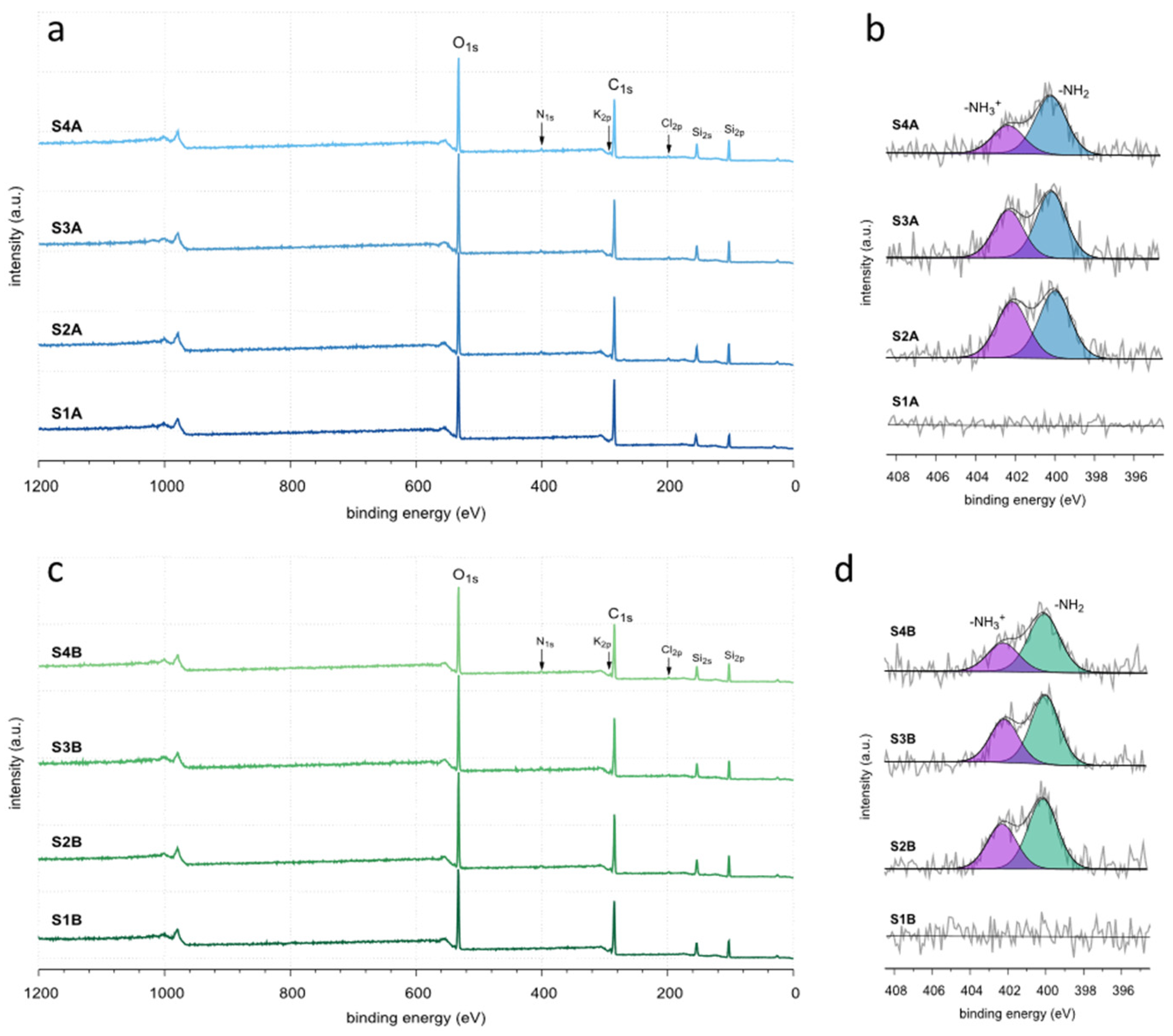 Molecules 30 02990 g006
