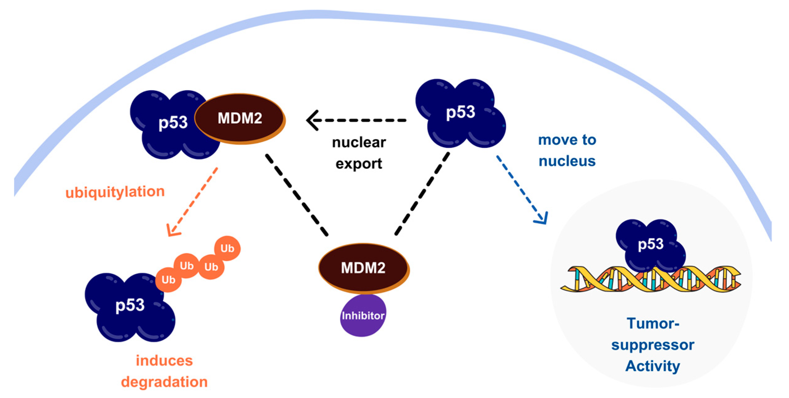 Molecules 30 02992 g001 Molecules 30 02992 g001
