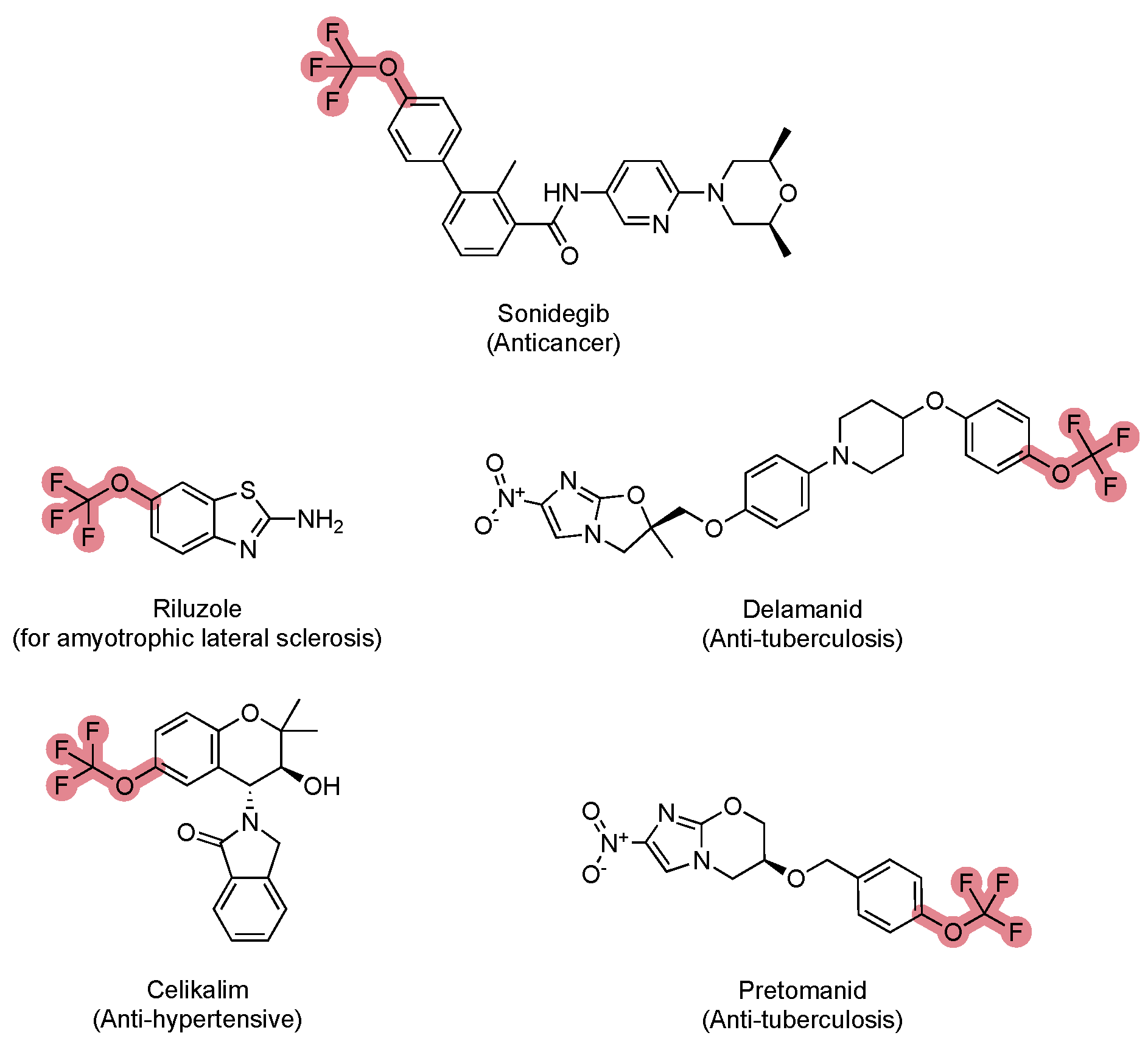 Molecules 30 03009 g004