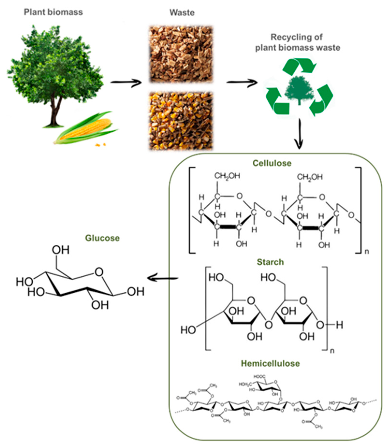 Molecules 30 03012 g002