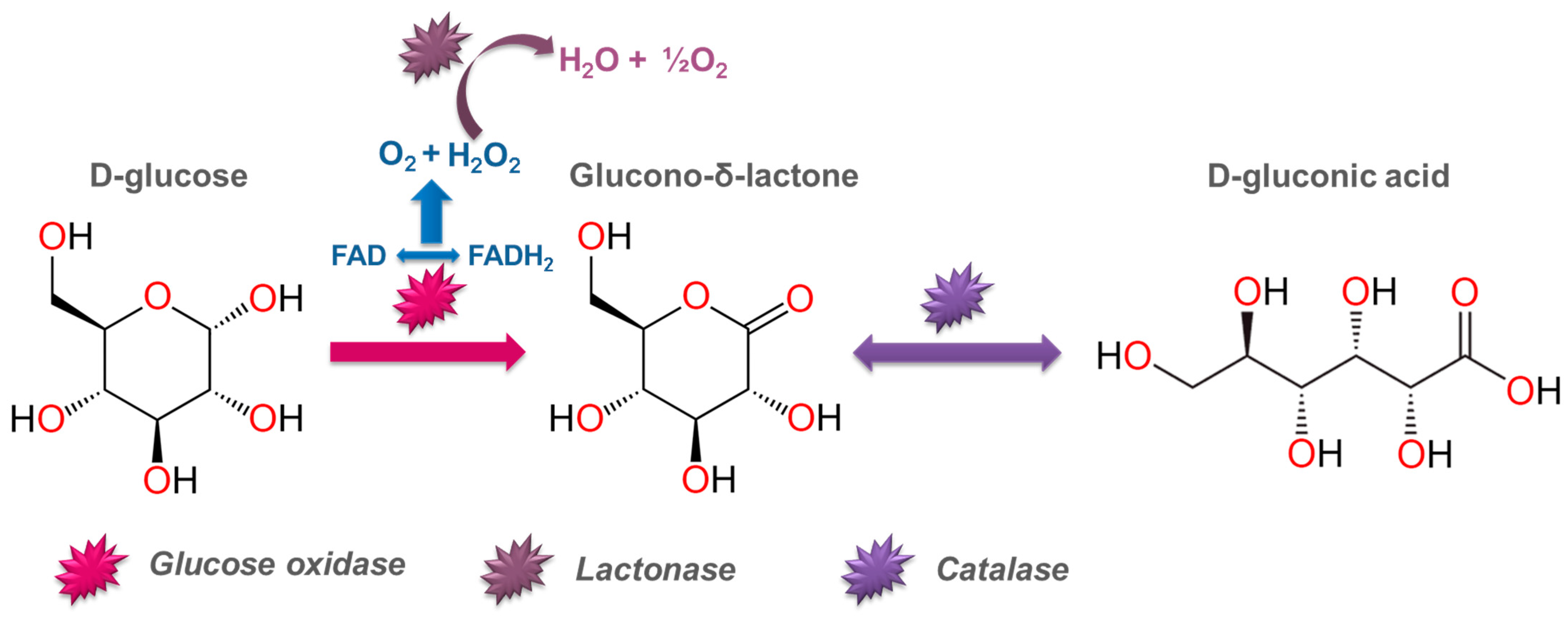 Molecules 30 03012 g004