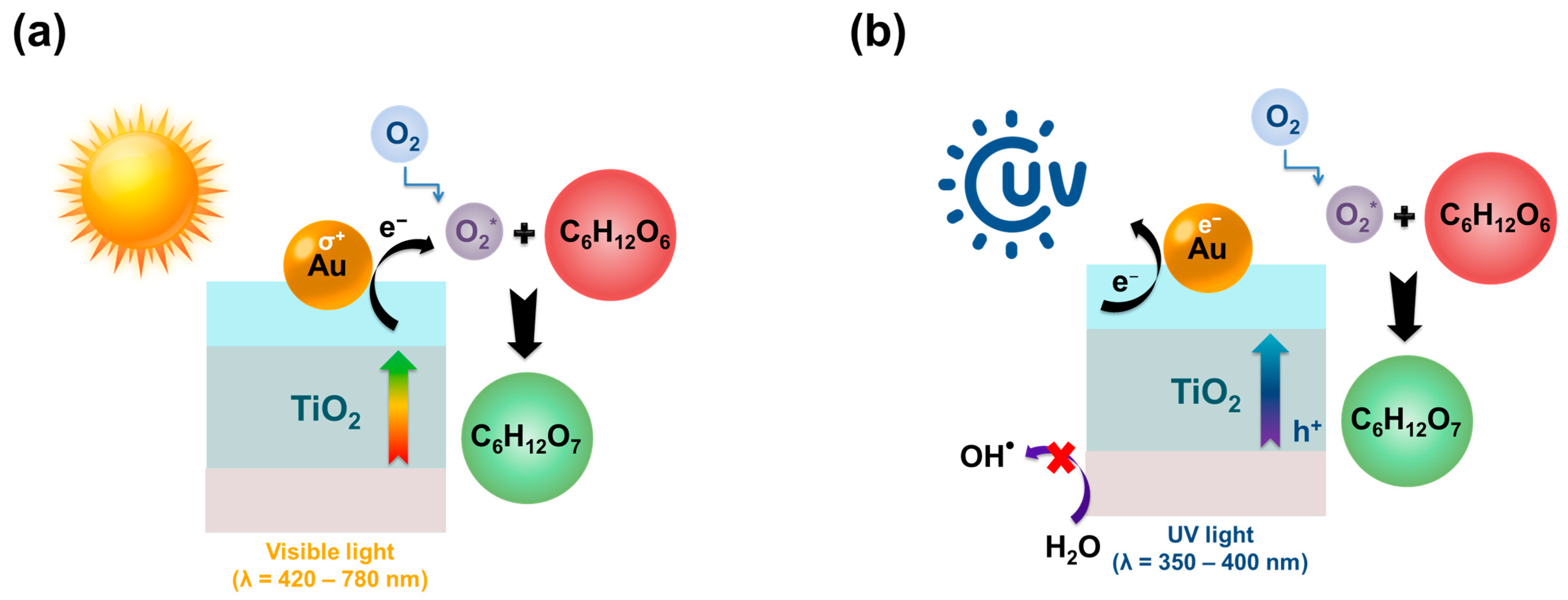 Molecules 30 03012 g005