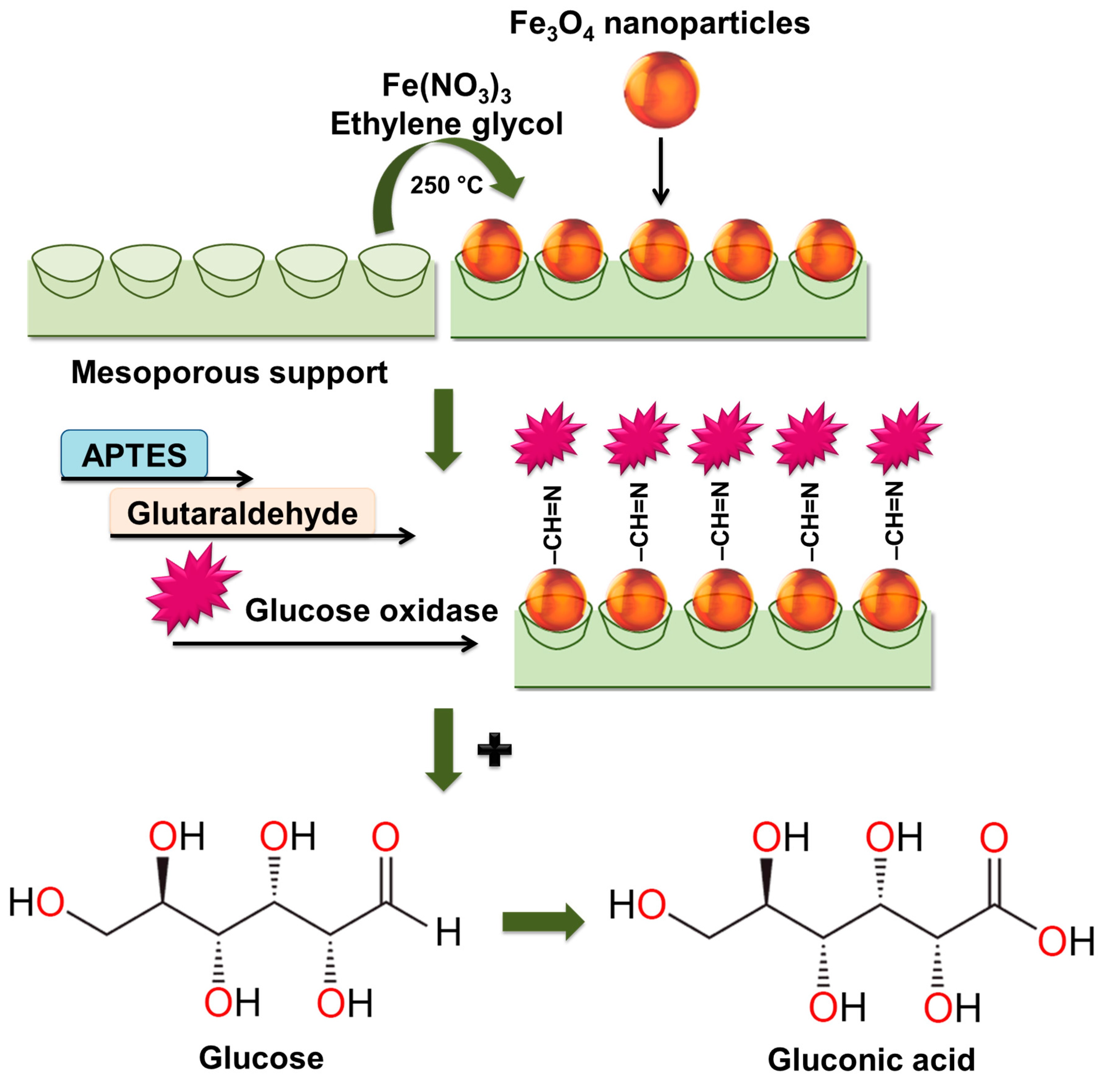 Molecules 30 03012 g006