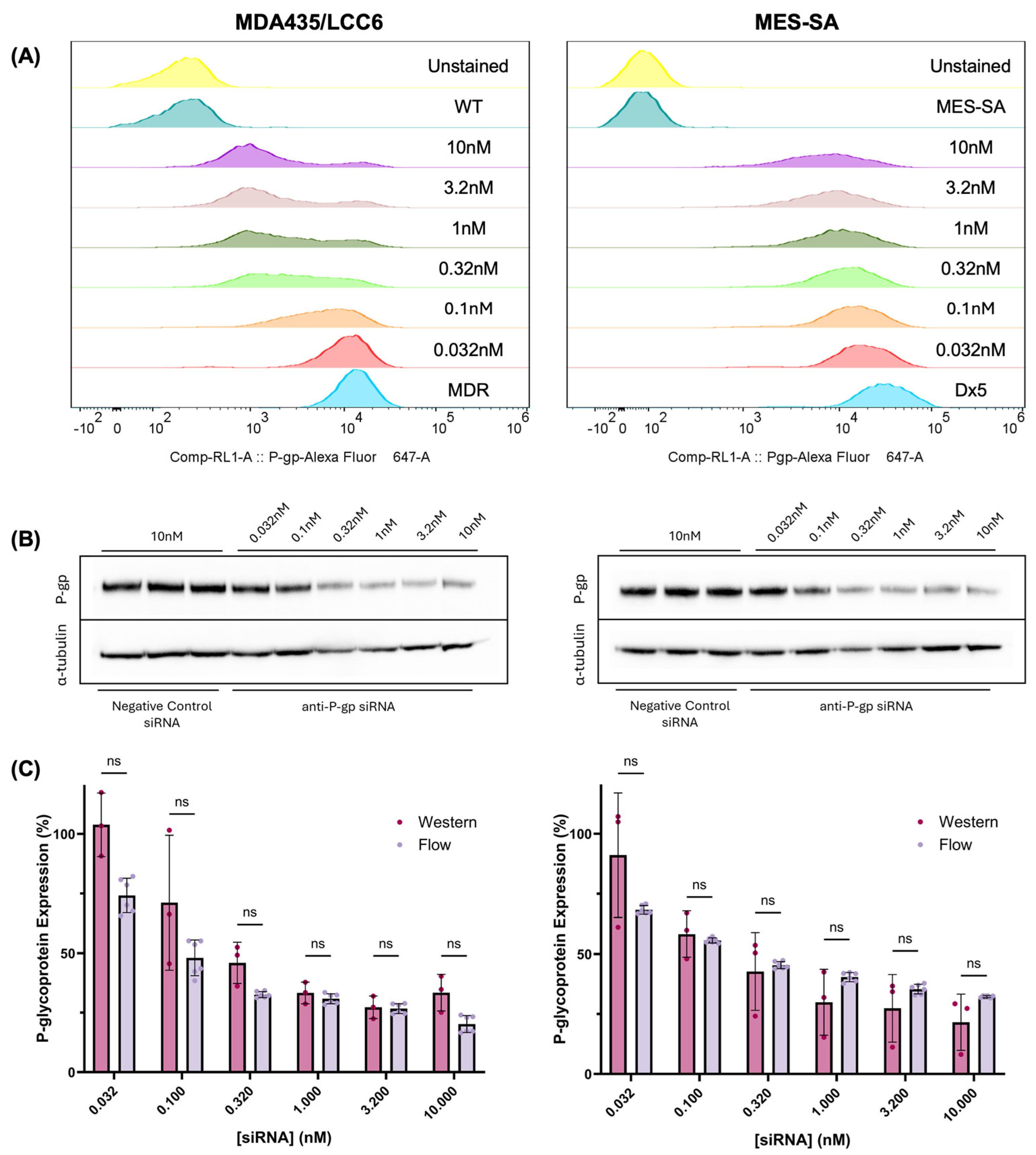 Molecules 30 03014 g001