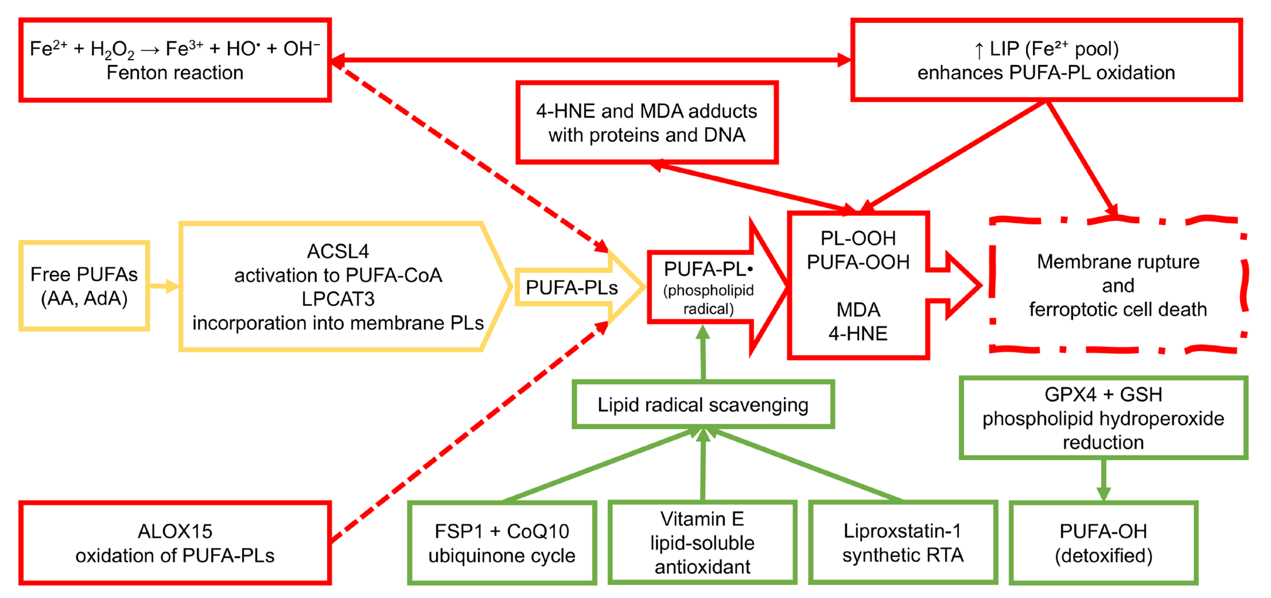 Molecules 30 03020 g001
